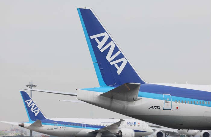 ANAの飛行機とロゴ（時事）