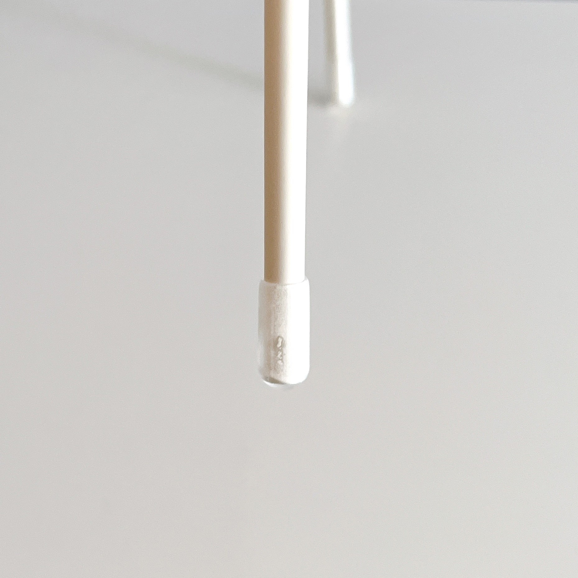 白い杖の先端部分が見える。背景はぼやけており、杖に焦点が当たっている。