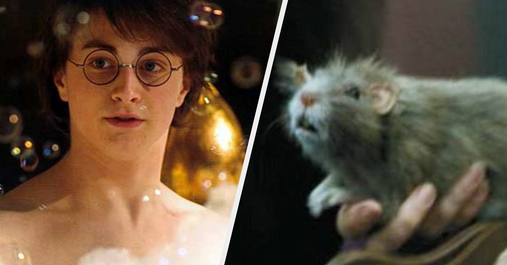 Prince Harry, Duke of Sussex visual data 4