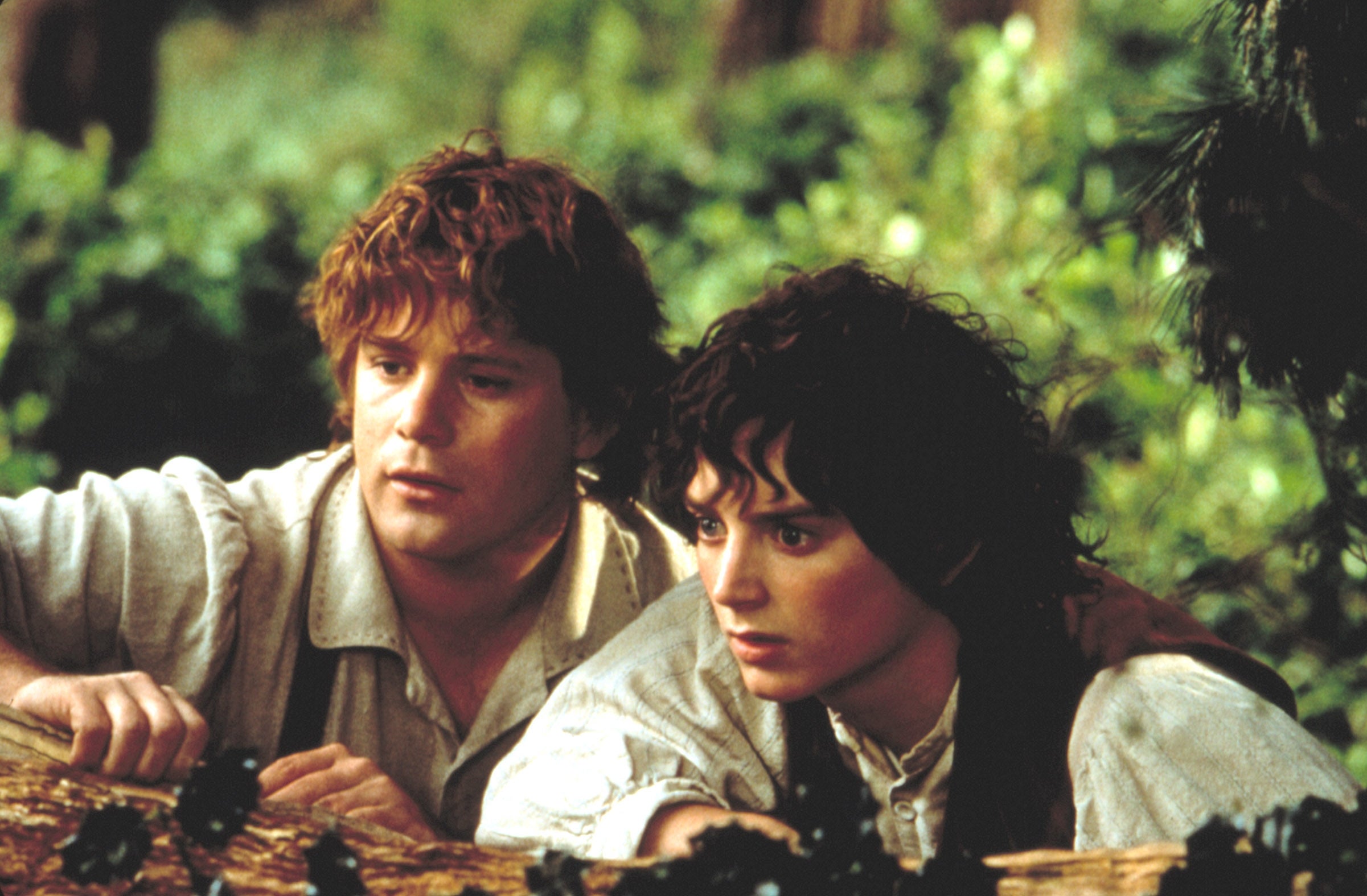 Elijah Wood as Frodo Baggins and Sean Astin as Samwise Gamgee crouched together in "Lord of the Rings"