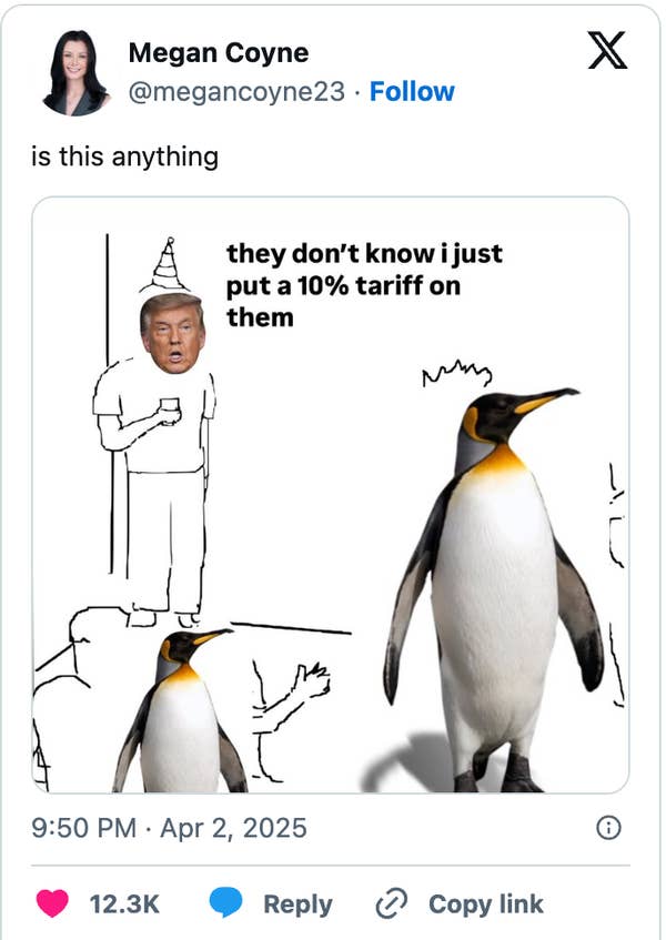 Cartoon of a penguin with a human body and a man's face wearing a hat, captioned about imposing a 10% tariff