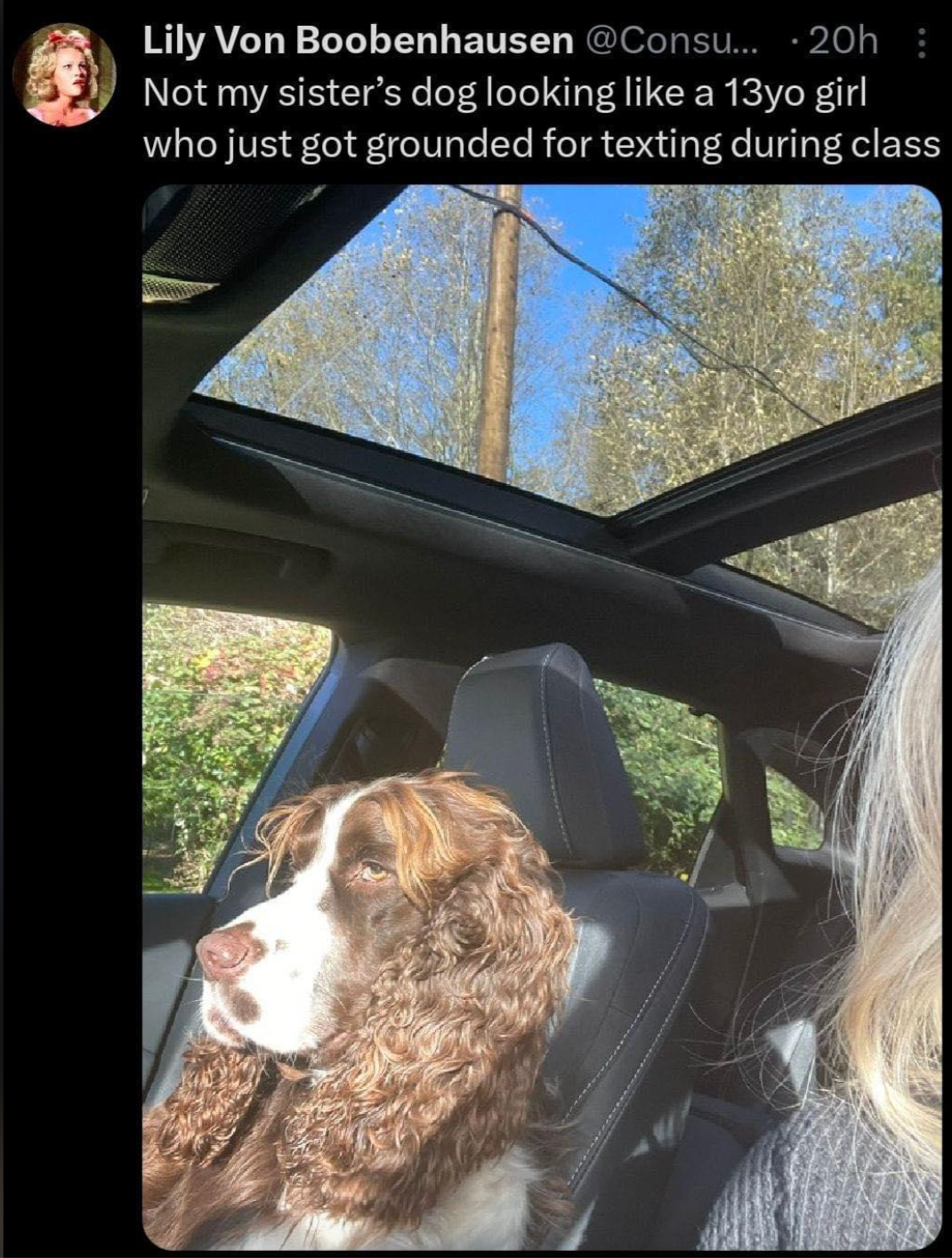 Dog sitting successful  a car   seat, looking retired  done  the sunroof. Caption jokingly compares the canine  to a grounded teenager