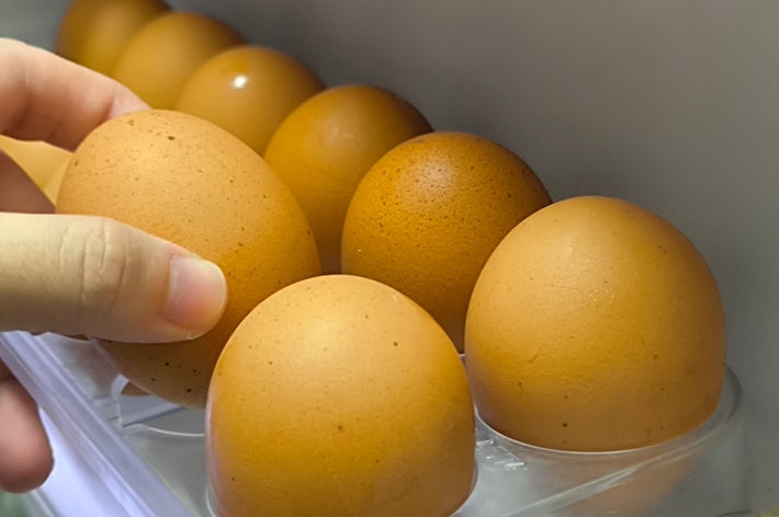 卵を持つイメージ画像(TWT24 / Getty Images)