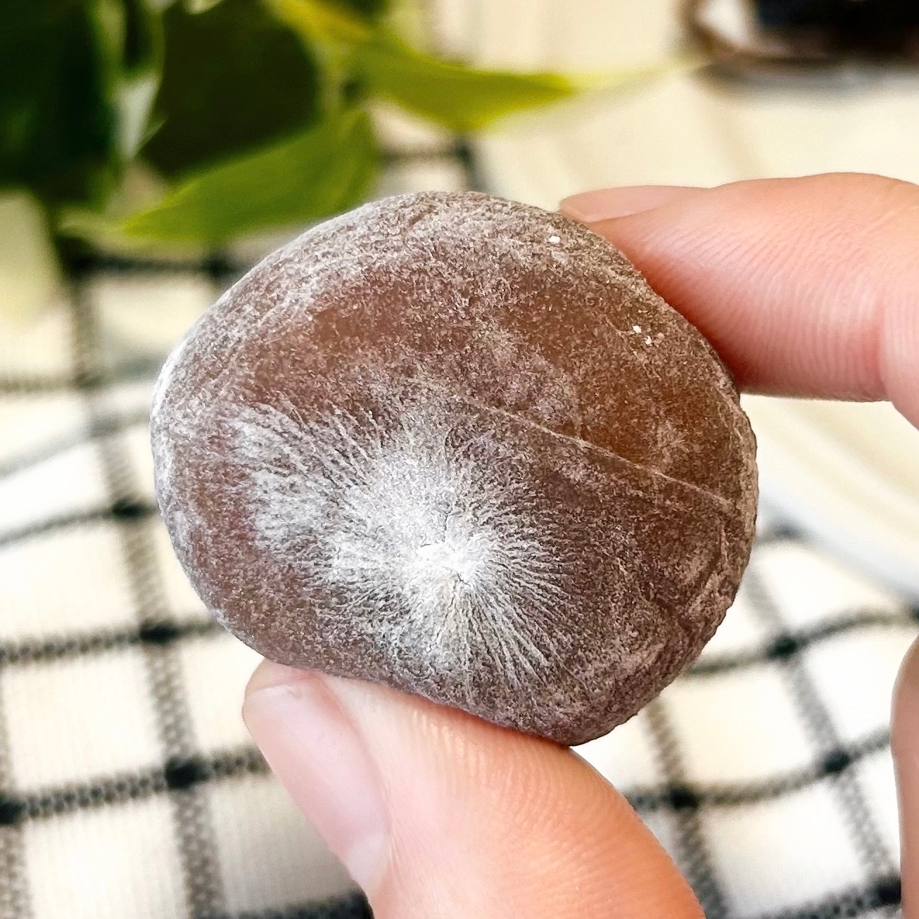 3COINS(スリーコインズ)の「深い焙煎の大人の甘さ コーヒー餅」