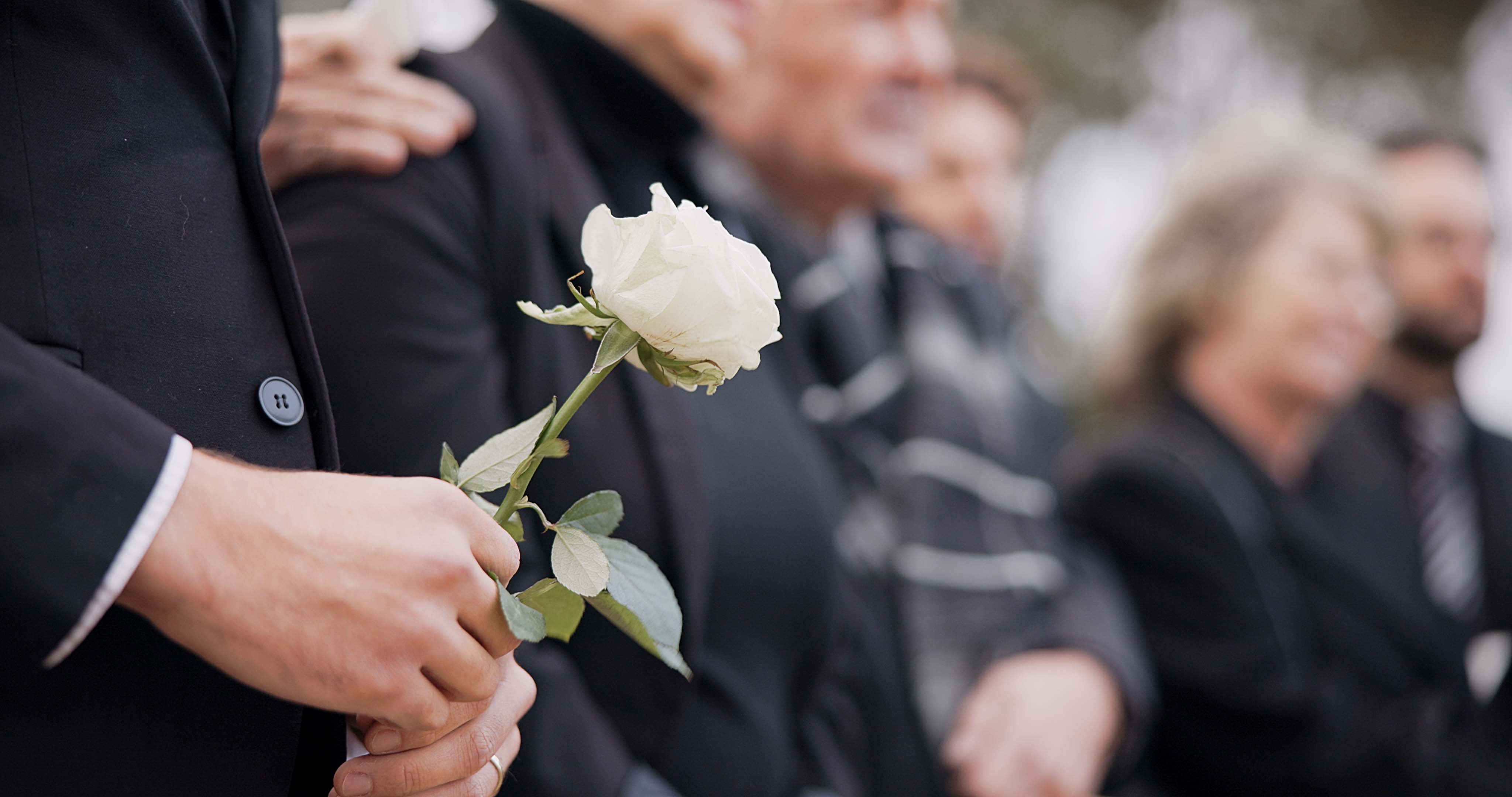 Person holding a white rose at a formal event, surrounded by people dressed in suits
