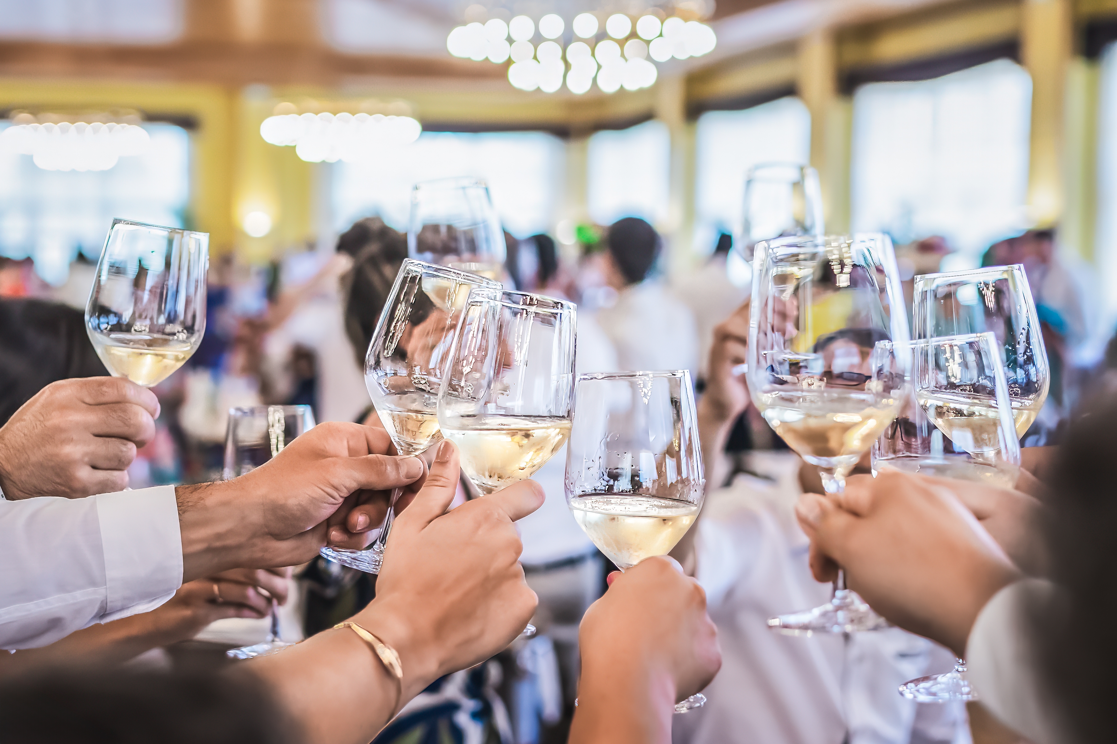 People toasting with wine glasses at a festive indoor event, suggesting a celebration in a business or work-related setting