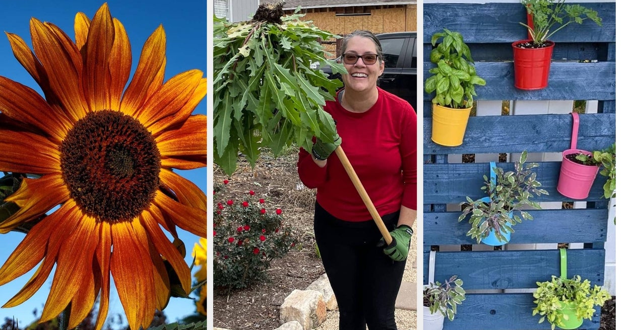 If You've Been Toying With The Idea Of Starting A Garden, These 27 Things Will Help