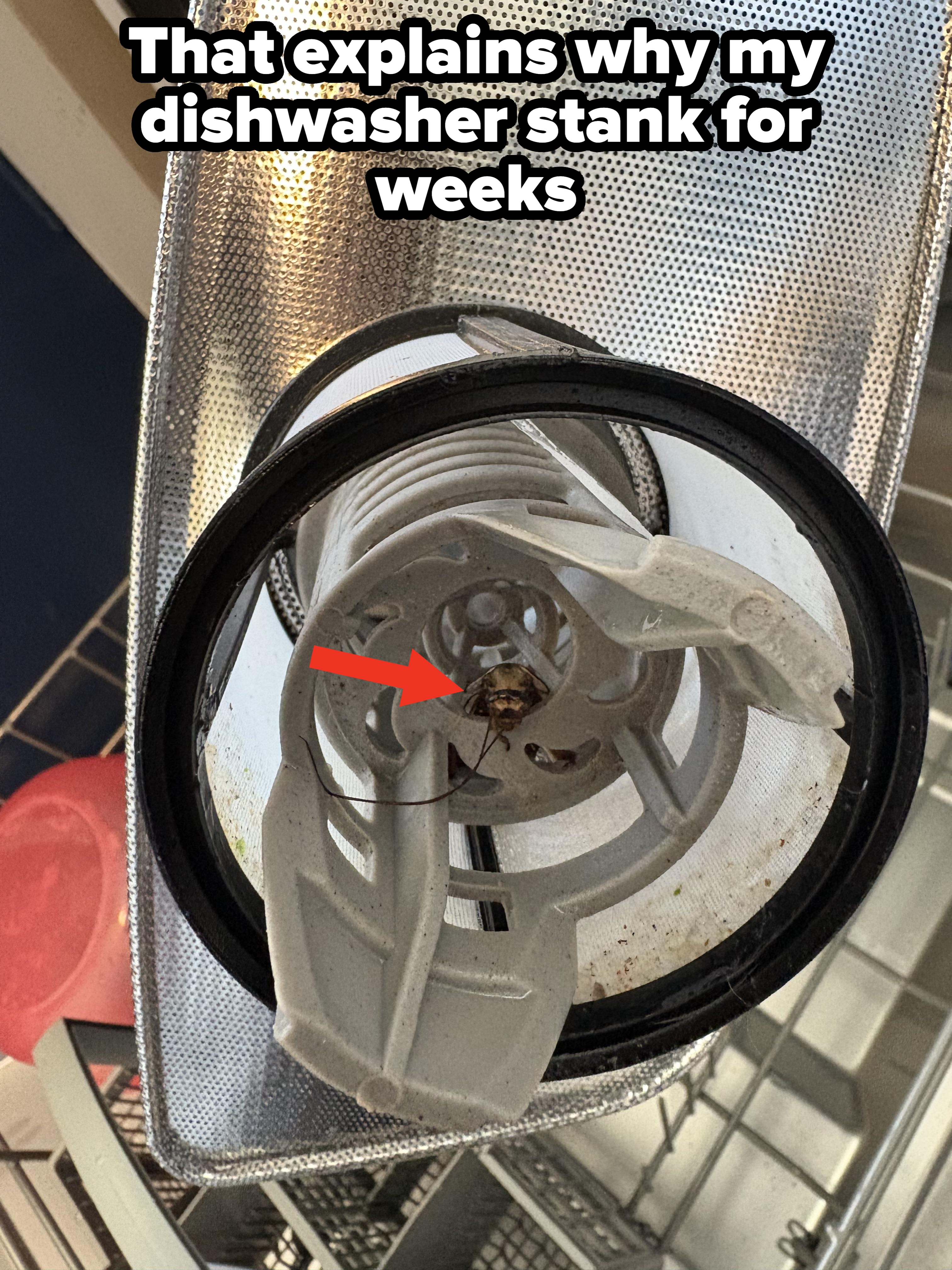 Close-up view of a light fixture with a broken bulb and a spider inside