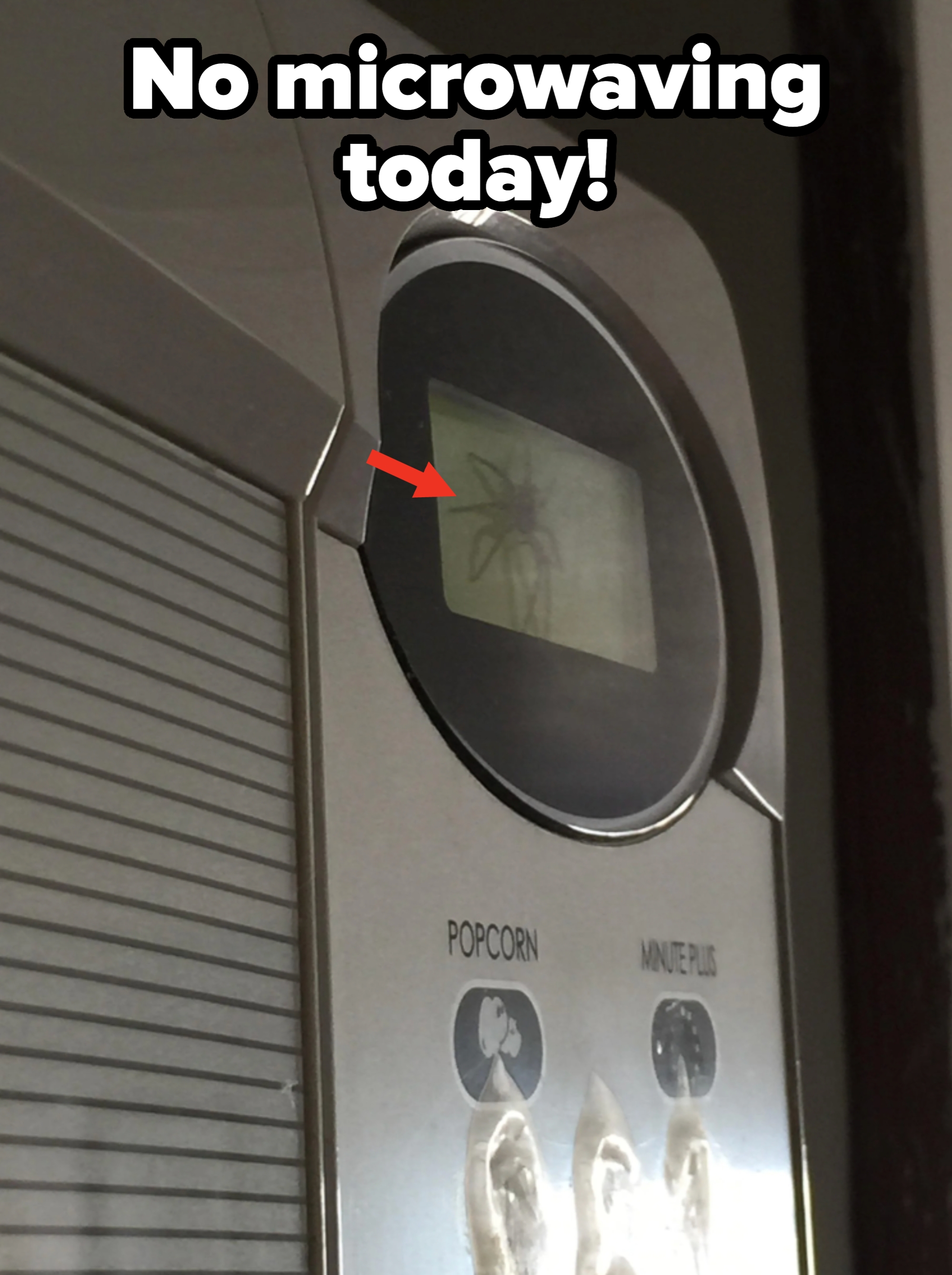 Spider inside a microwave display screen, sitting silently. Microwave buttons for popcorn and minute plus are visible below