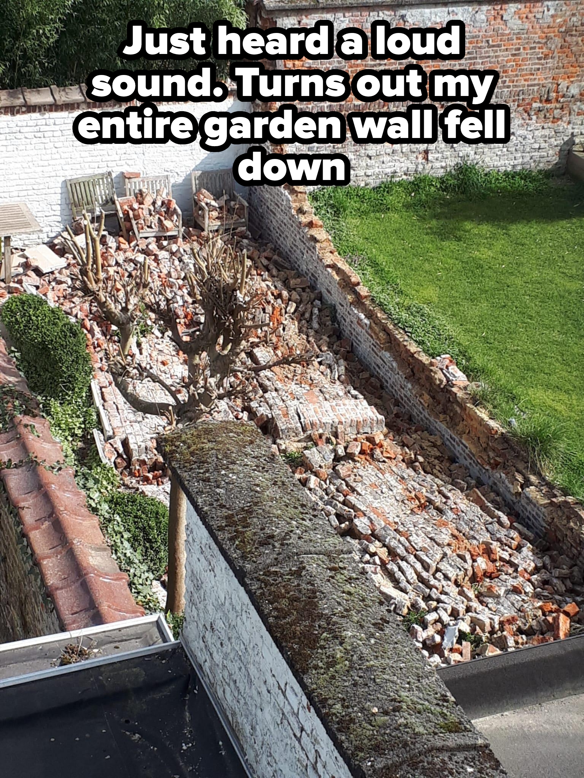 Collapsed brick wall with debris spread across a garden area. A tree stands amid the rubble near a white fence and green lawn