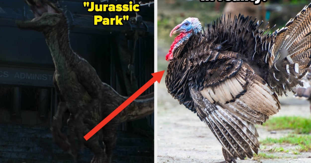 26 Dinosaur Facts That Are So Absolutely Bonkers I'm Questioning My Entire Education RN