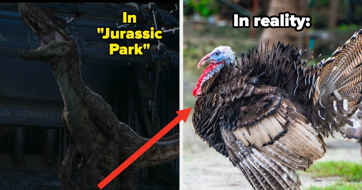 26 Dinosaur Facts That Are So Absolutely Bonkers I'm Questioning My Entire Education RN