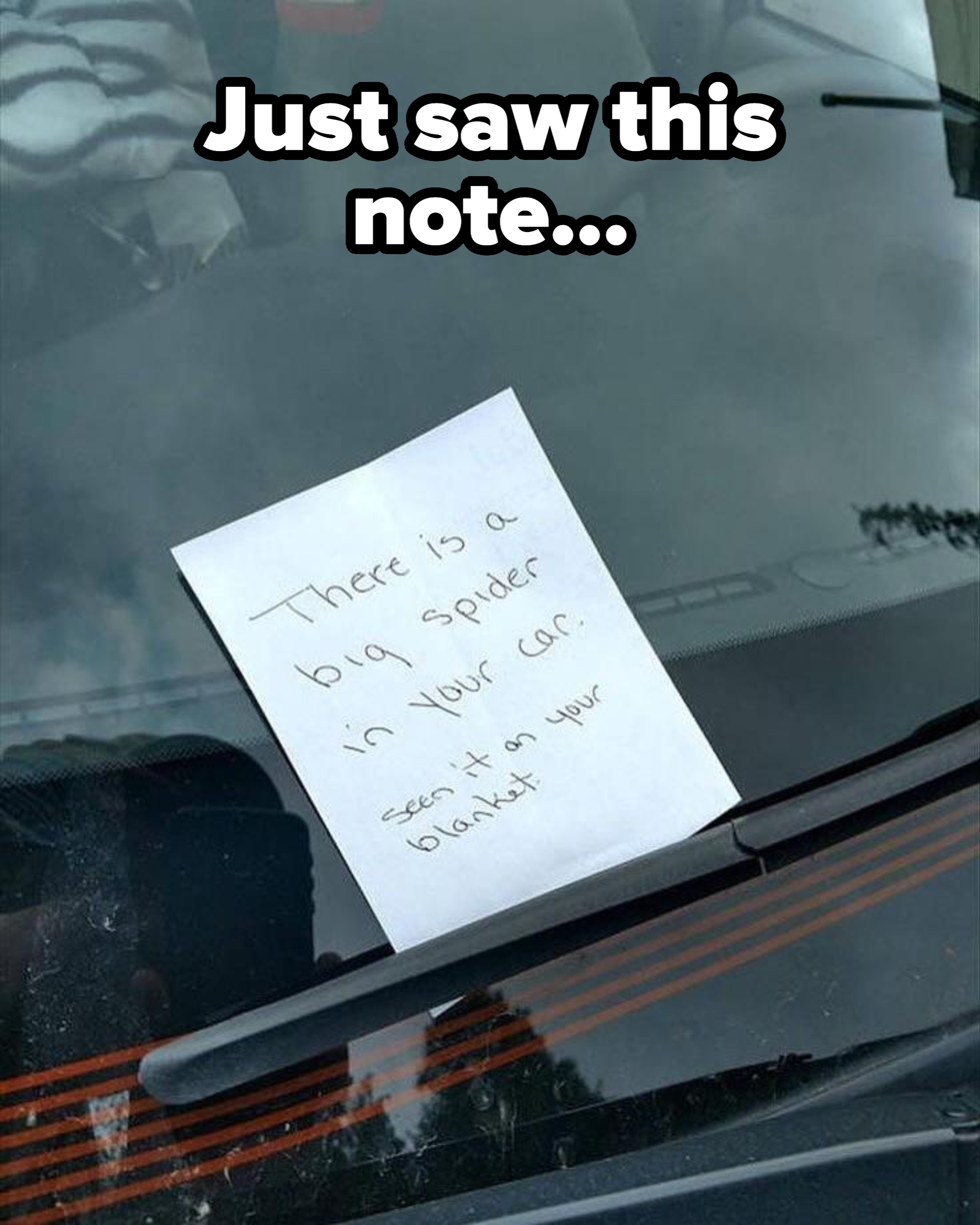 Note on a car windshield reads: "There is a big spider in your car. Seen it on your blanket."