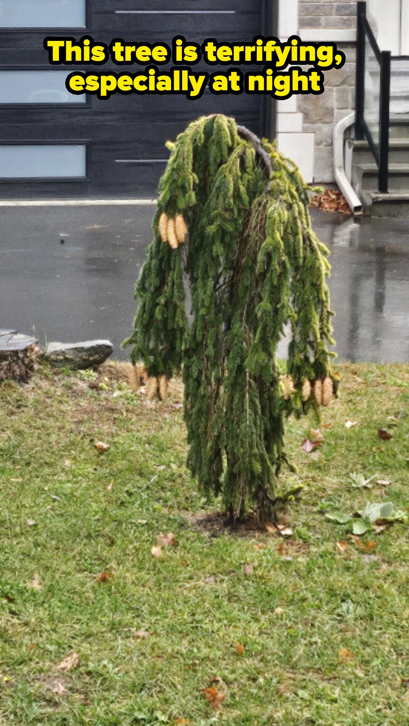 57 Unsettling Photos That Radiate Ominous Vibes