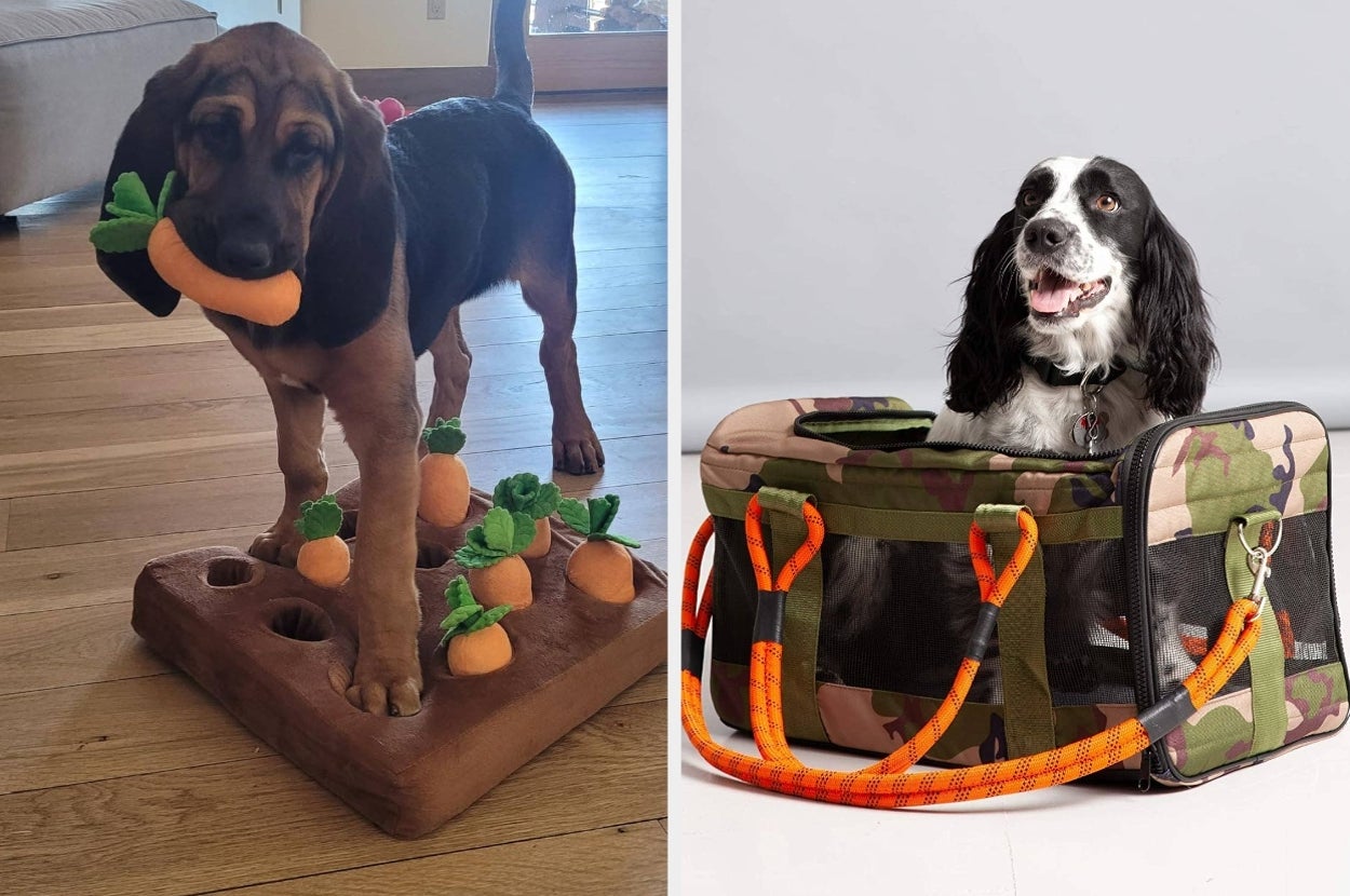 Left: Puppy with a carrot toy on a play board. Right: Dog in a camo-style pet carrier, sitting and looking happy