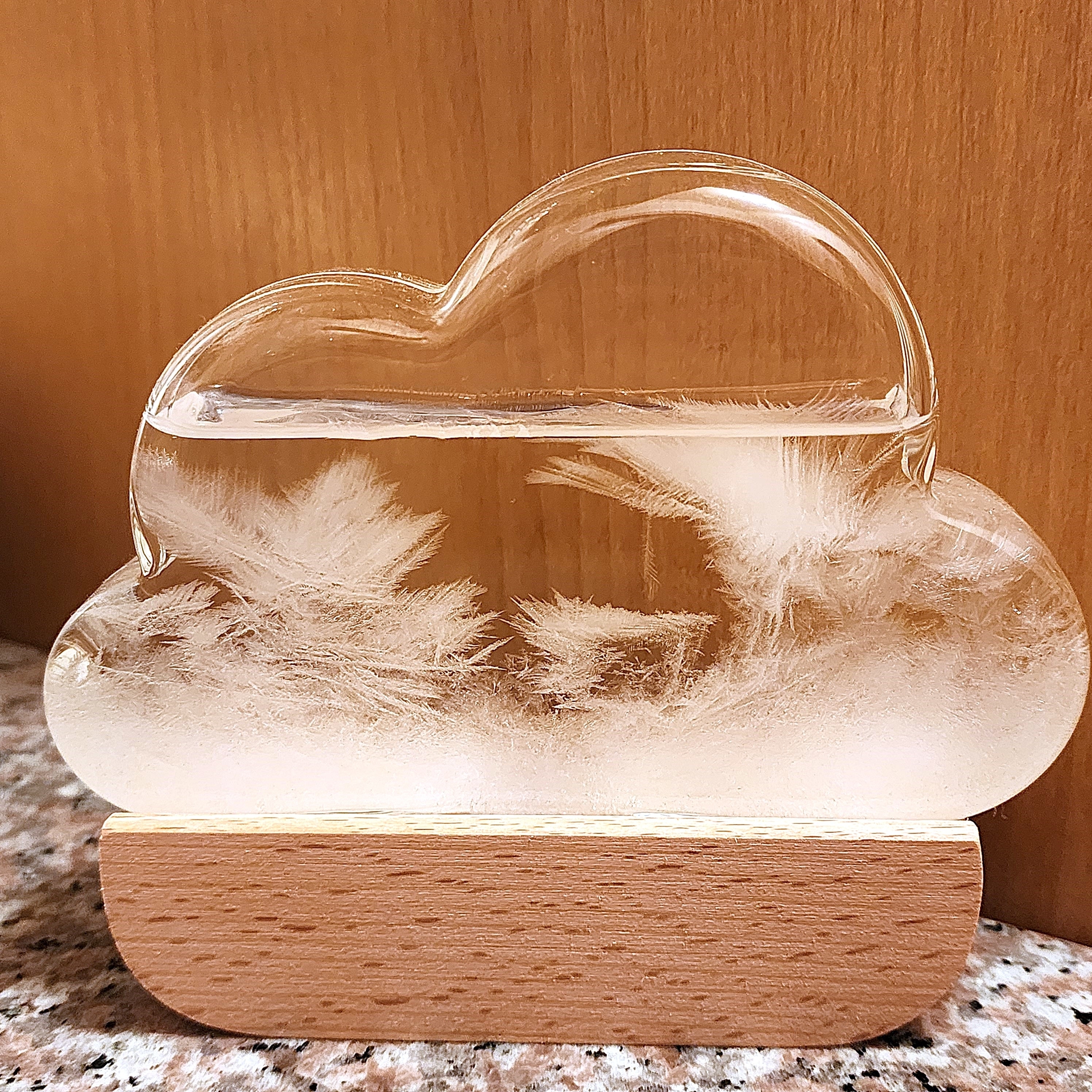 ニトリ「【デコホーム商品】ストームグラス(くも型)」