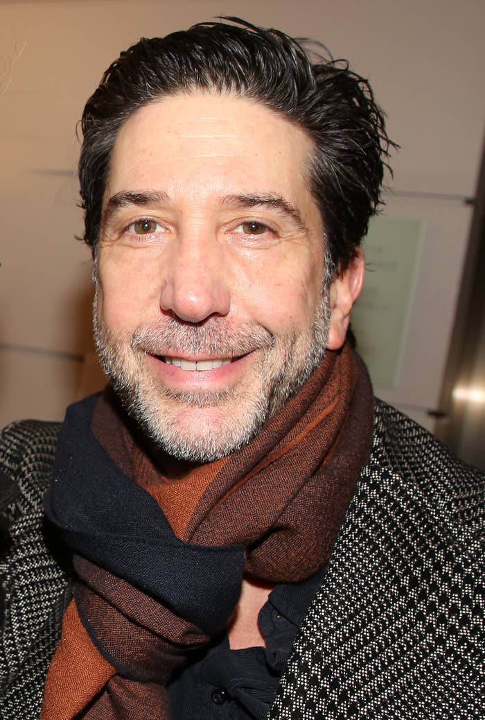 David Schwimmer smiling, wearing a tweed jacket and a brown scarf indoors