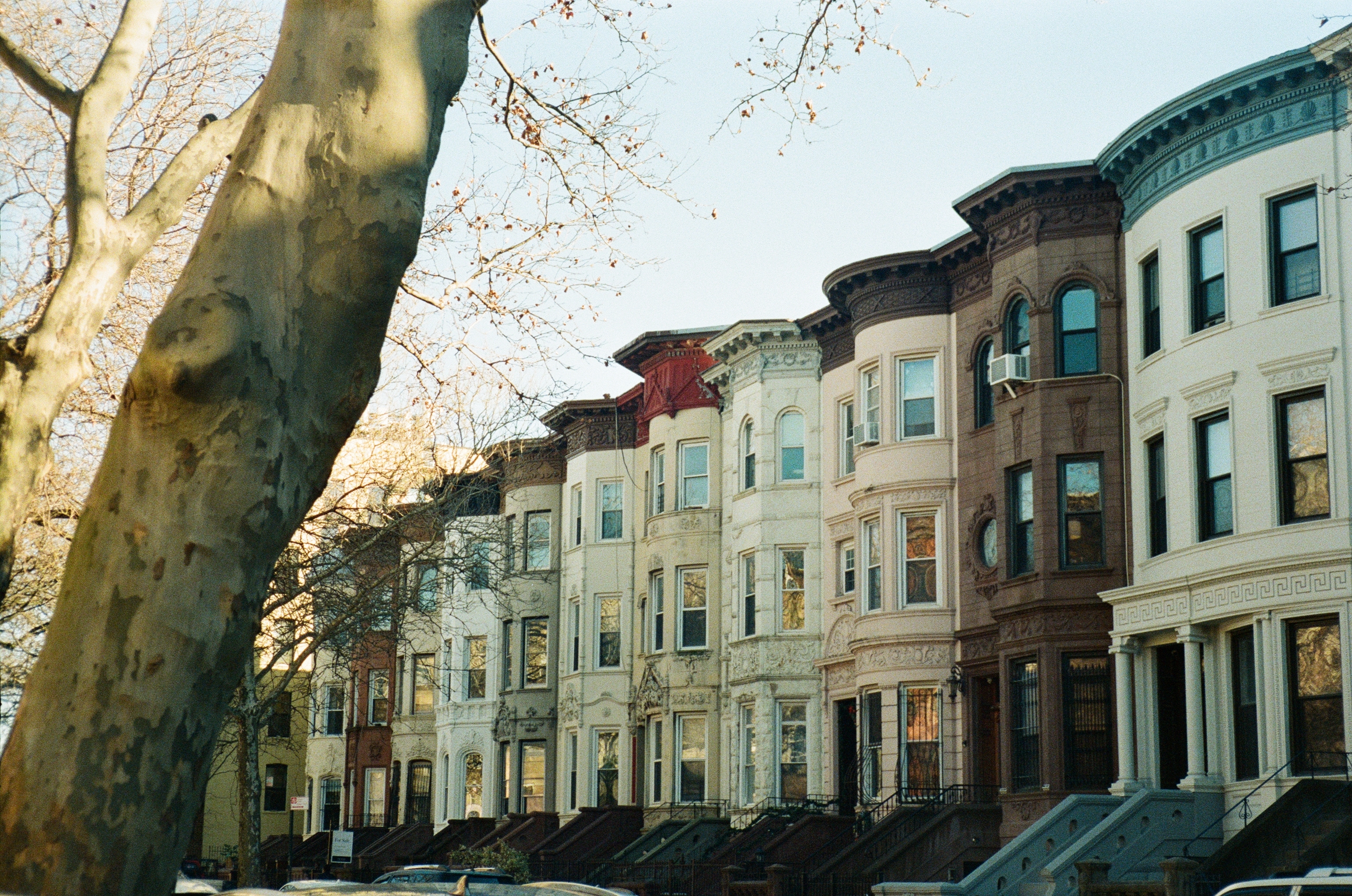 Row of classic brownstone townhouses with ornate facades lining a quiet residential street, flanked by a large tree
