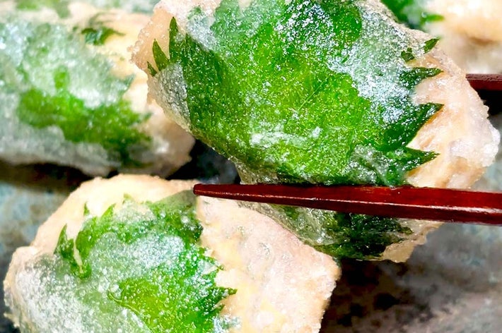 しそで包まれた天ぷらが箸で持ち上げられている。サクサクした食感が伝わる料理のクローズアップ。