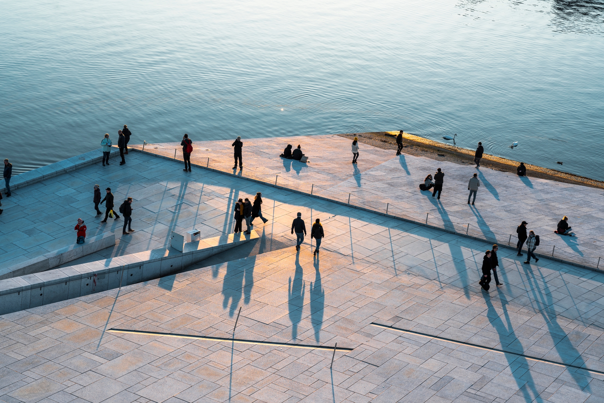 People walking and interacting near a waterfront with long shadows cast on a geometric, paved surface