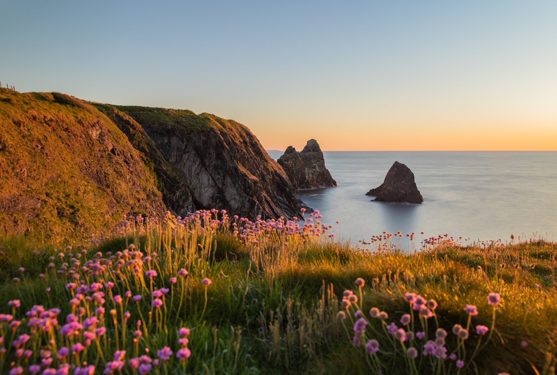 Coastal landscape with cliffs, sea stacks, and wildflowers at sunset. Calm sea and serene atmosphere