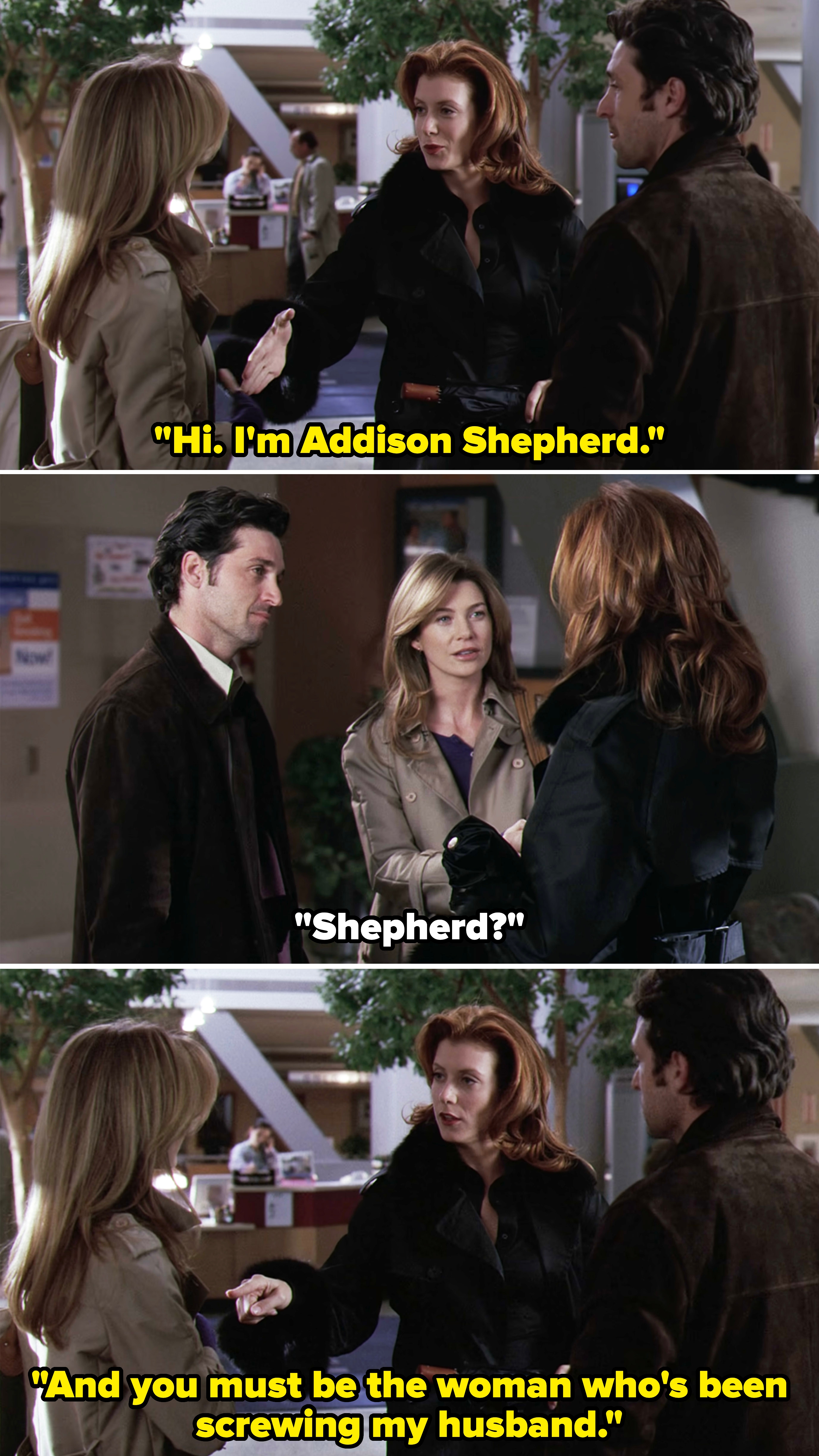 Addison introducing herself to Meredith and saying, "And you must be the woman who's been screwing my husband"