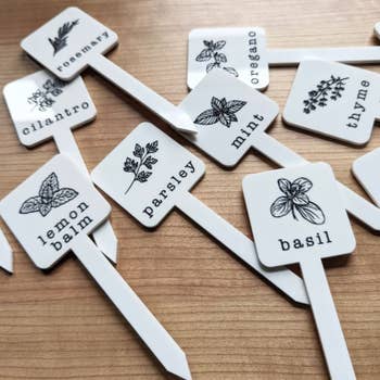 Herb markers connected a array labeled rosemary, cilantro, citrus balm, parsley, mint, oregano, thyme, and basil, each with a works illustration