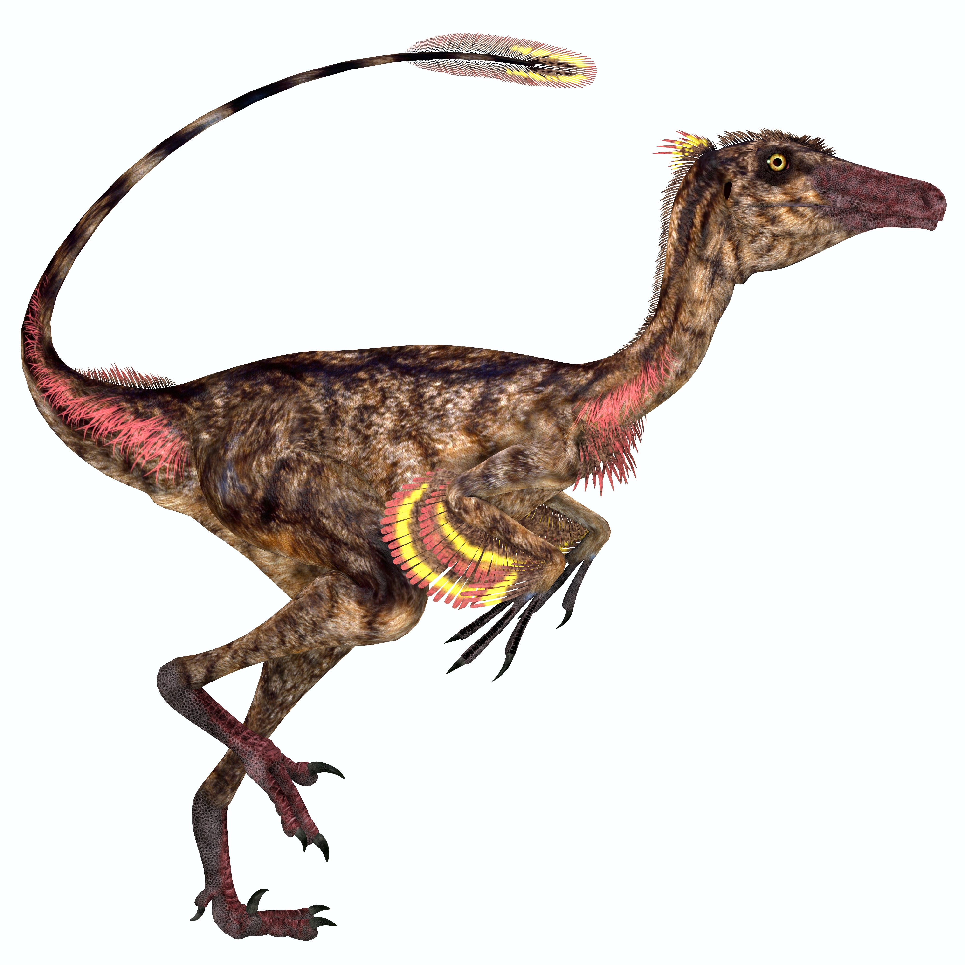 Illustration of a Troodon with feathers on its arms and tail, depicted in a dynamic stance