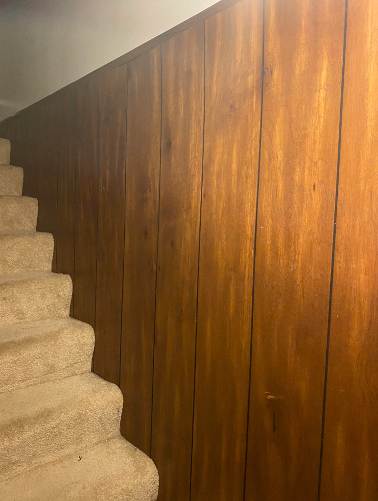 Carpeted stairs ascending alongside a wooden-paneled wall, creating a retro interior setting