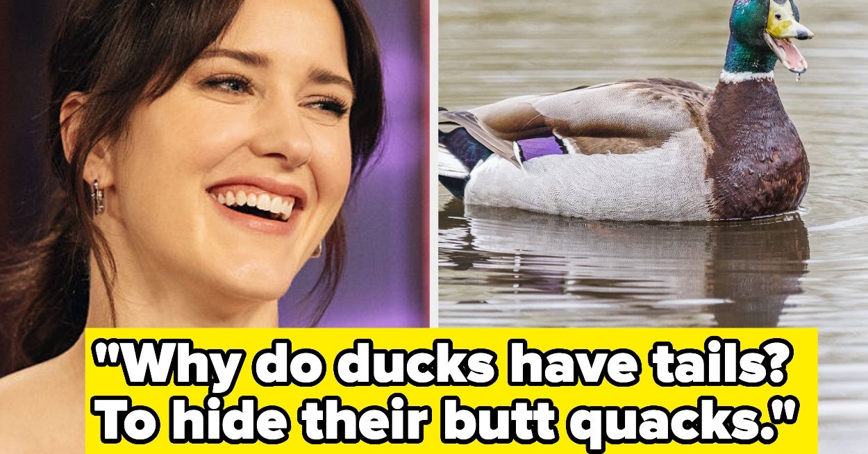 37 Seriously Funny Jokes That Might Actually Make You Laugh As The World Burns