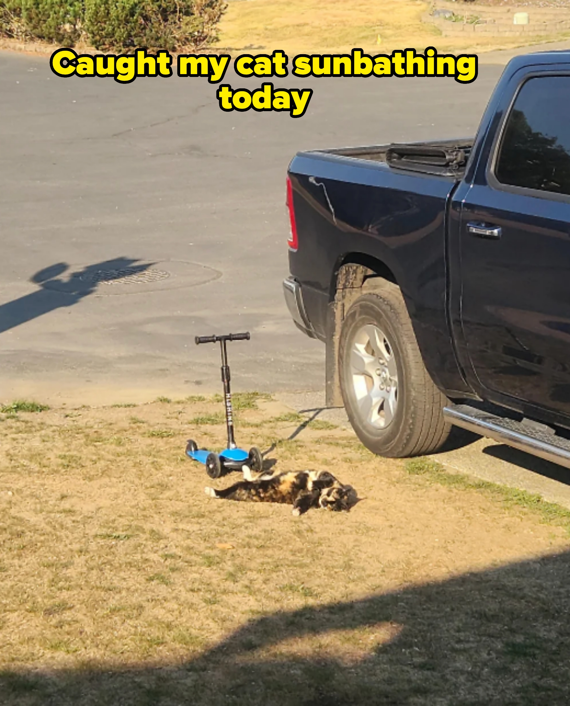 A cat lies on grass near a parked truck and a blue scooter, enjoying the sun