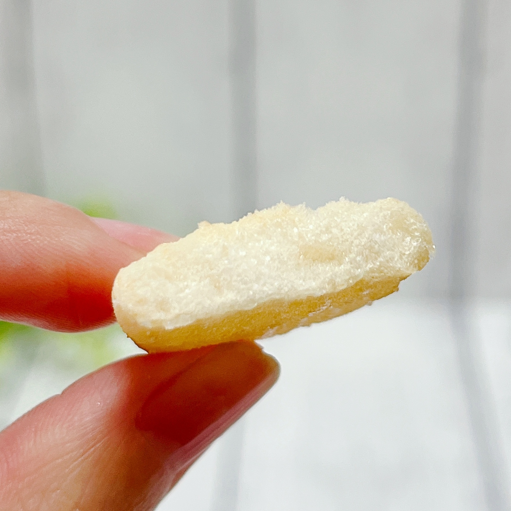 ディズニーランドの「おせんべい」