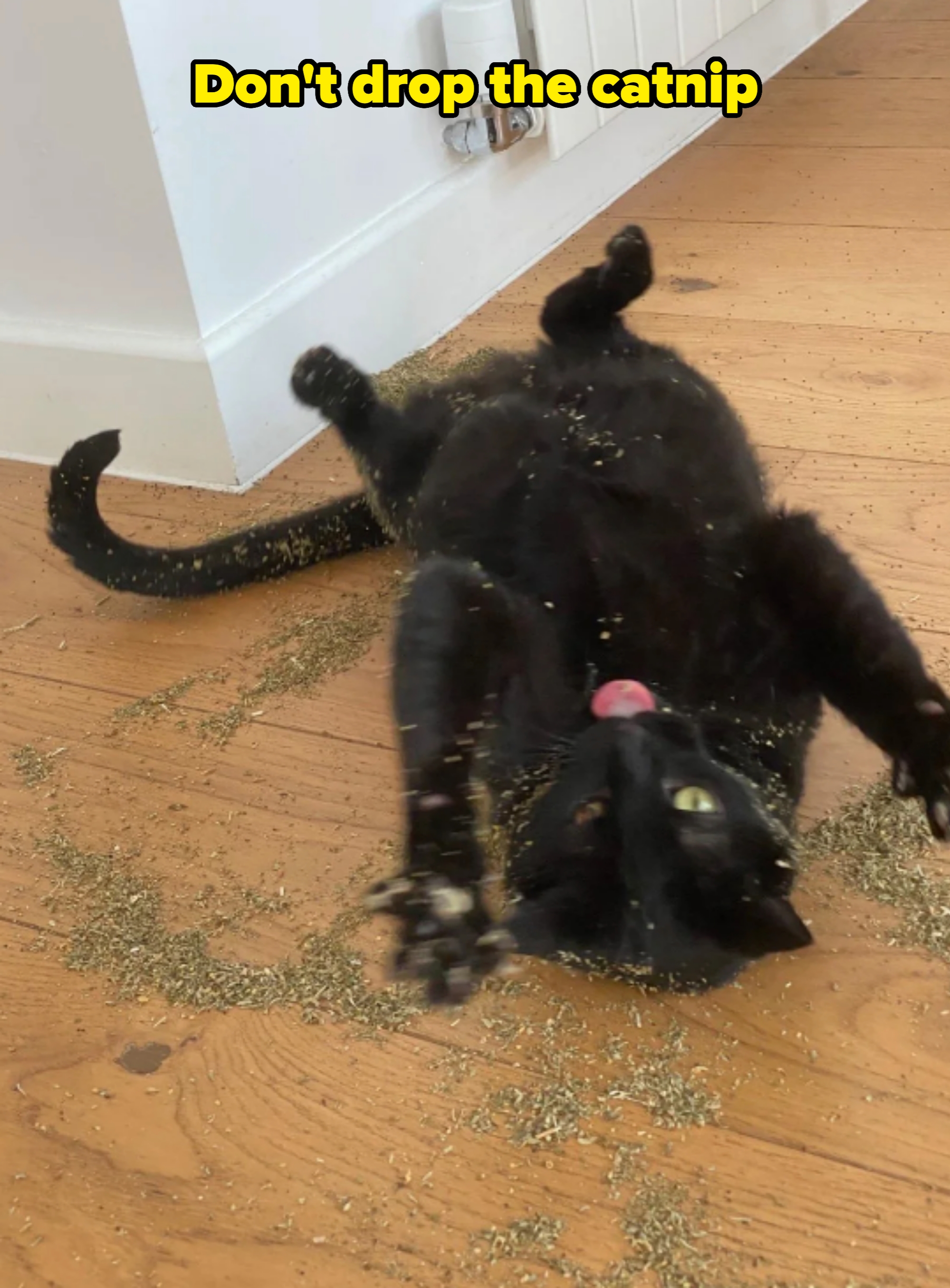 Cat playing on the wooden floor, rolling in a pile of catnip, looking playful and energetic