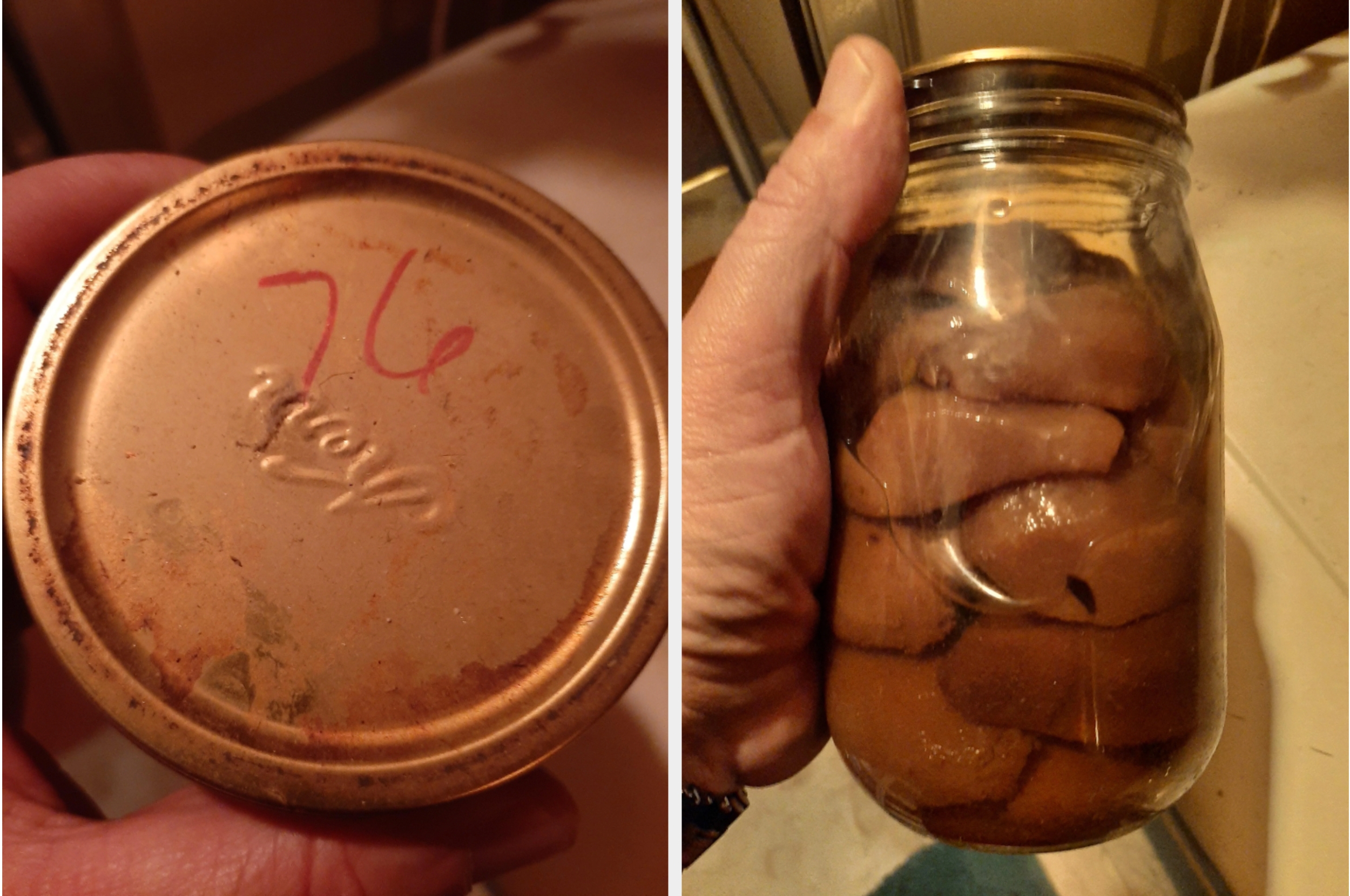 Hand holding a jar of old canned peaches with a lid marked "76," indicating the jar was sealed in 1976