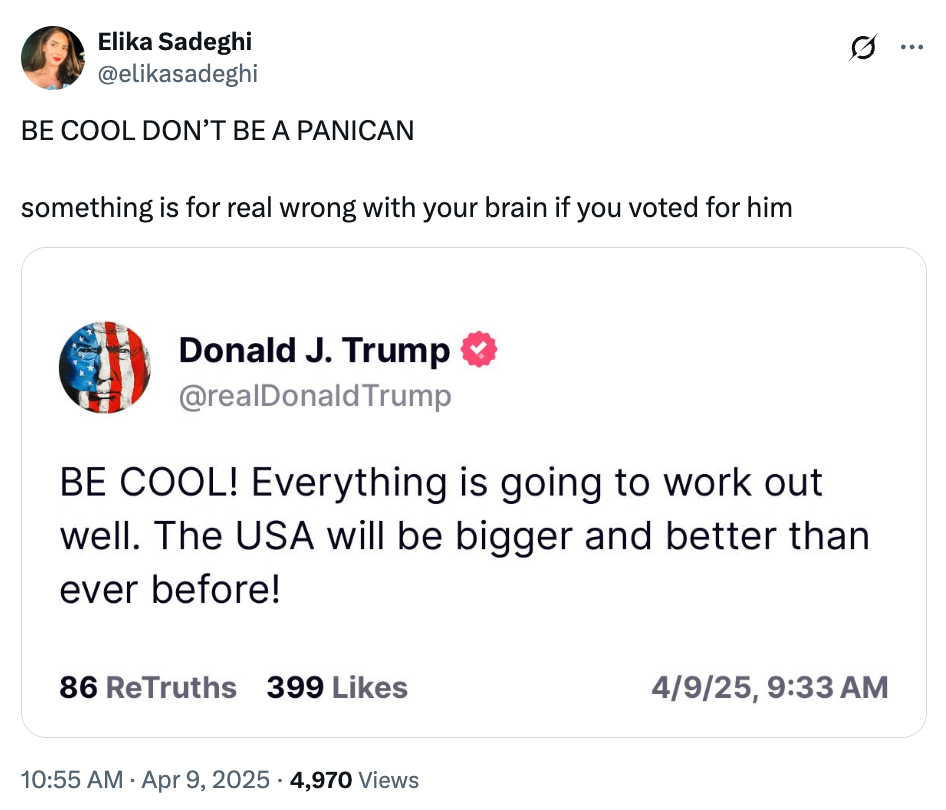 A tweet by Elika Sadeghi critiques a post by Donald Trump urging calm about the USA's future, with engagement stats shown for Trump's post