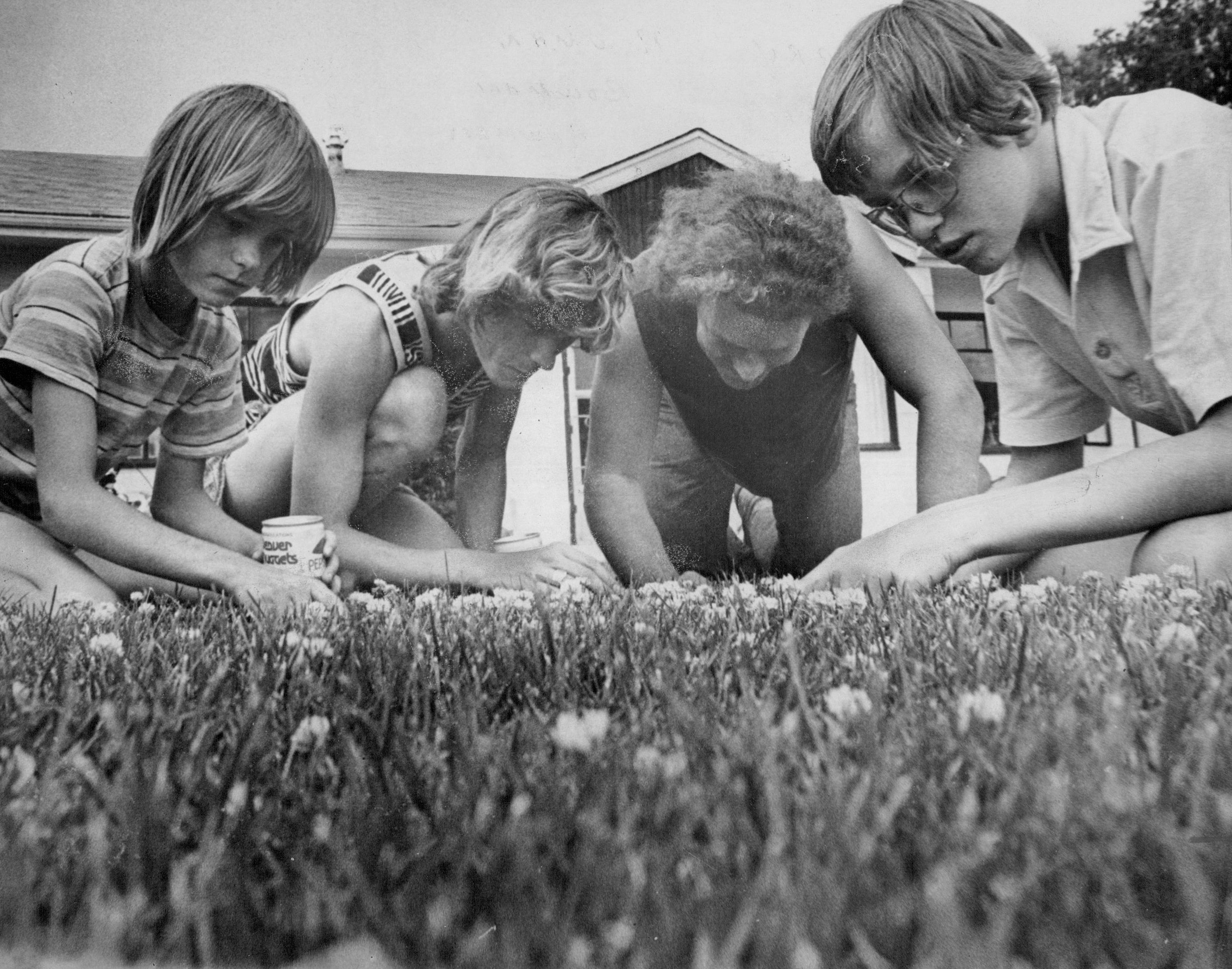 Family looking for four leaf clovers in the grass