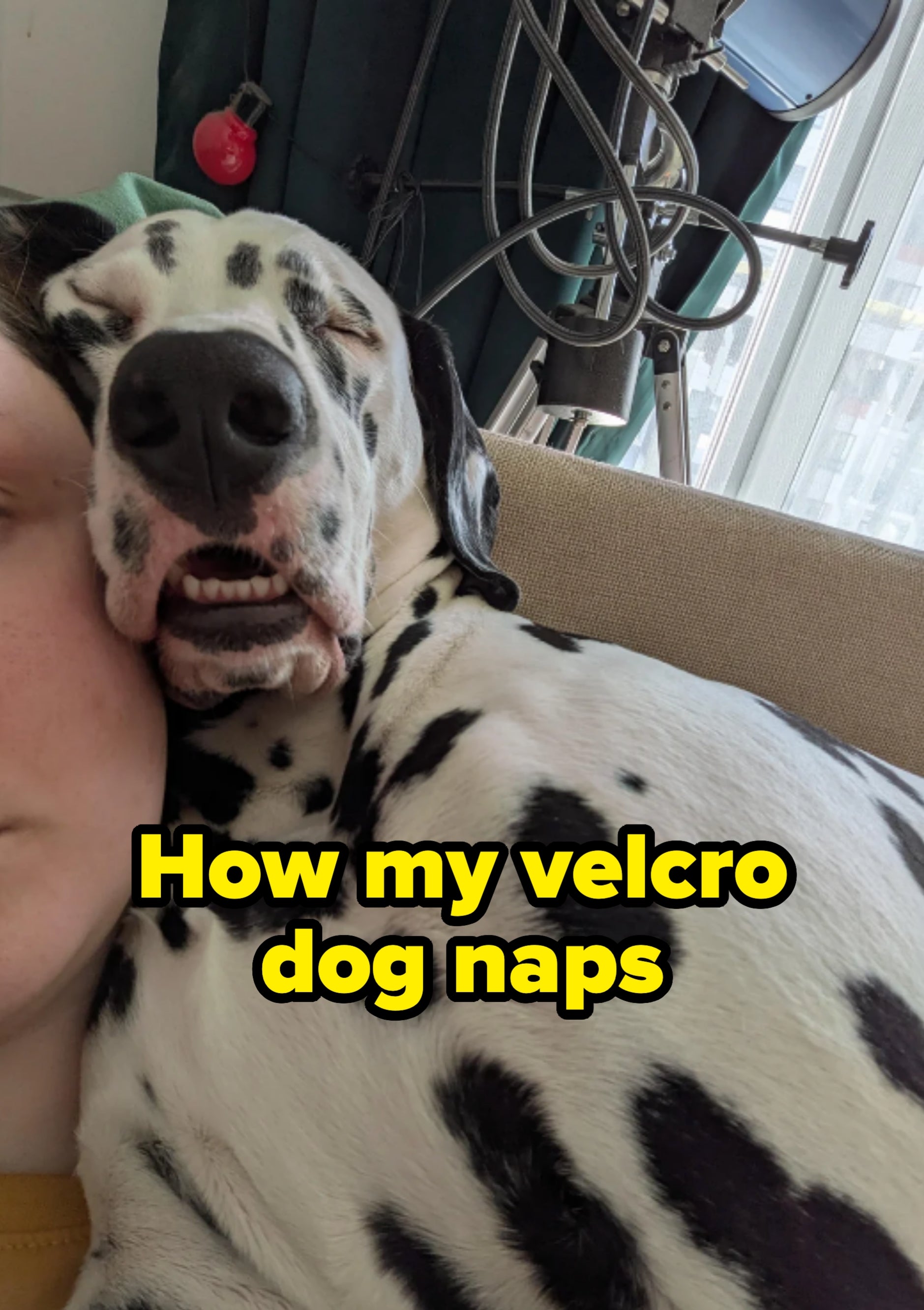 A Dalmatian is lying on a couch with its head resting on a person&#x27;s face, both appearing relaxed and sleepy