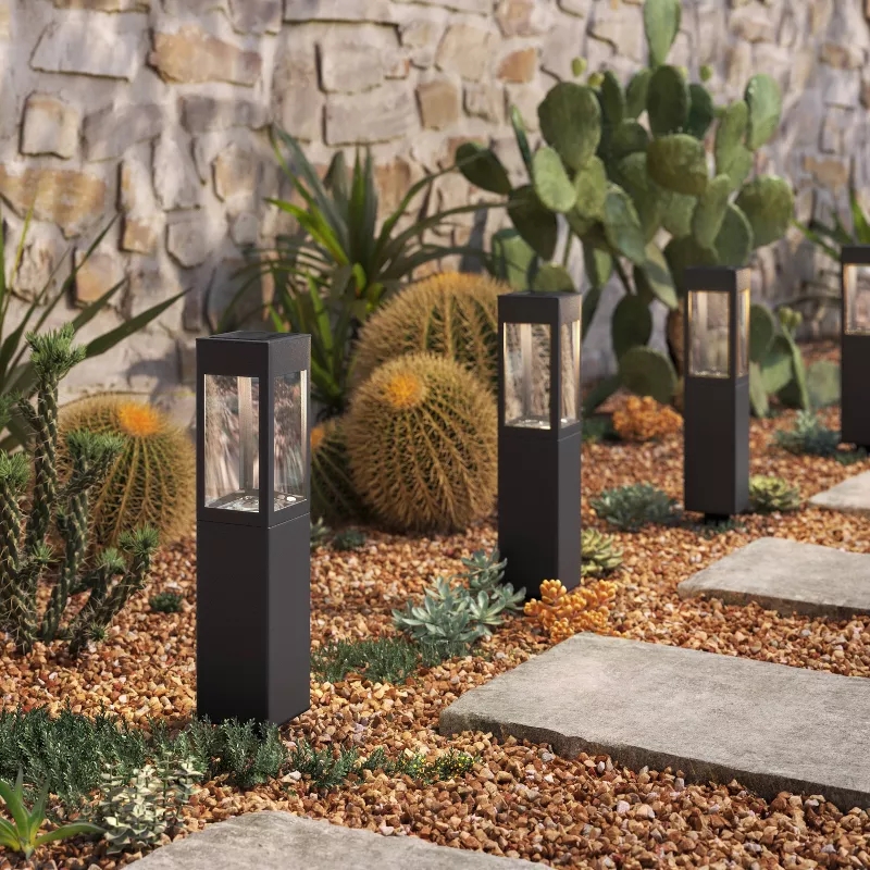 Pathway with modern solar lights, surrounded by desert plants like cacti and succulents, set against a stone wall backdrop