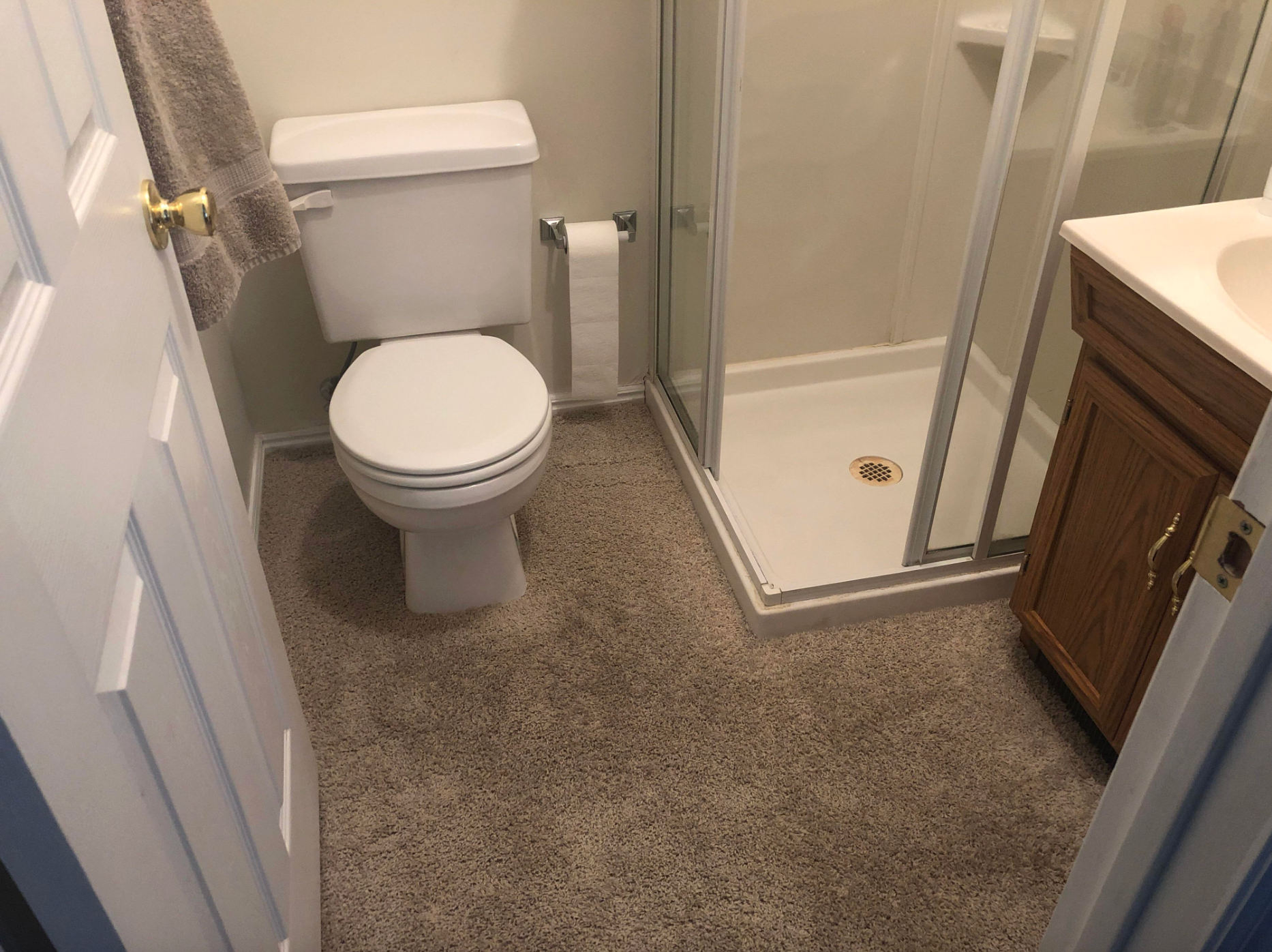 Bathroom with carpeted floor, featuring a toilet, glass shower, and wooden vanity