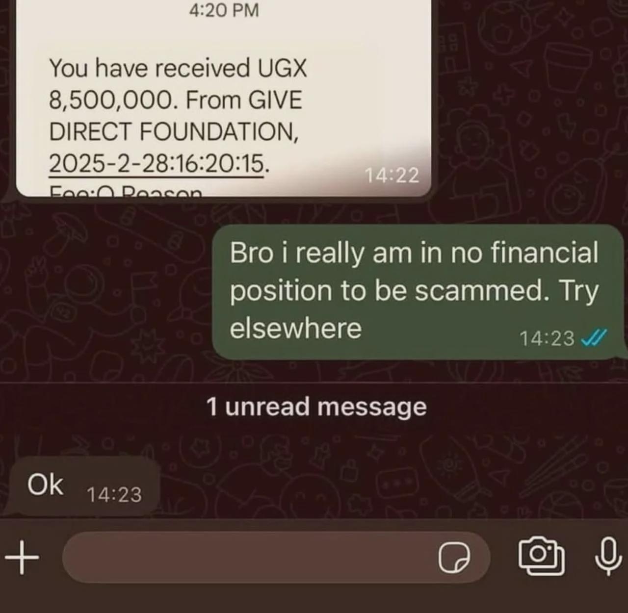 Text message exchange about a financial scam attempt, with the recipient saying they're in no financial position to be scammed, and the scammer saying "ok"