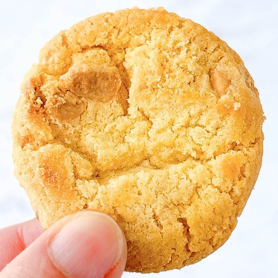 手で持たれたクッキーの近接写真。サクサクして美味しそう。