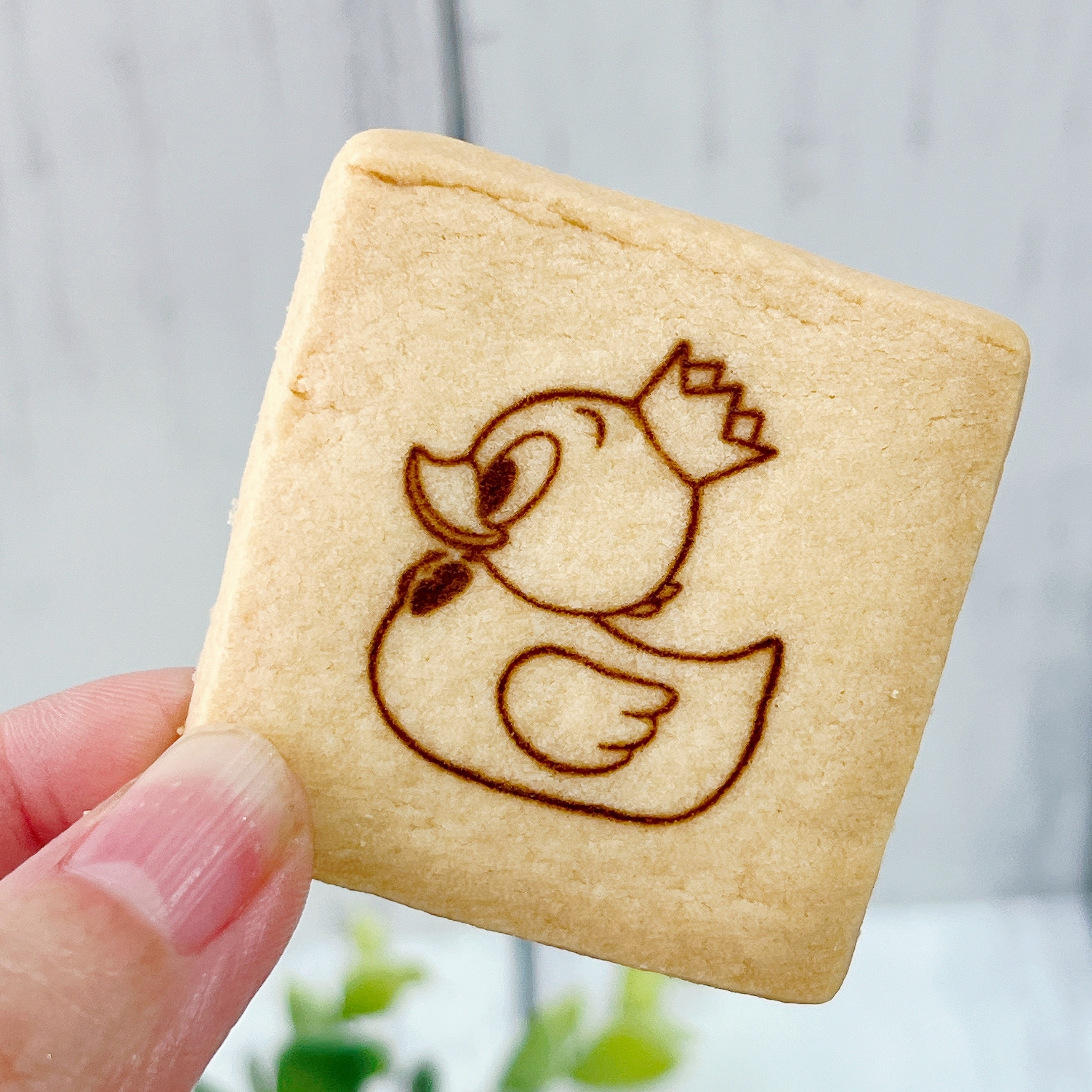 ディズニーランドで買った「クッキー」