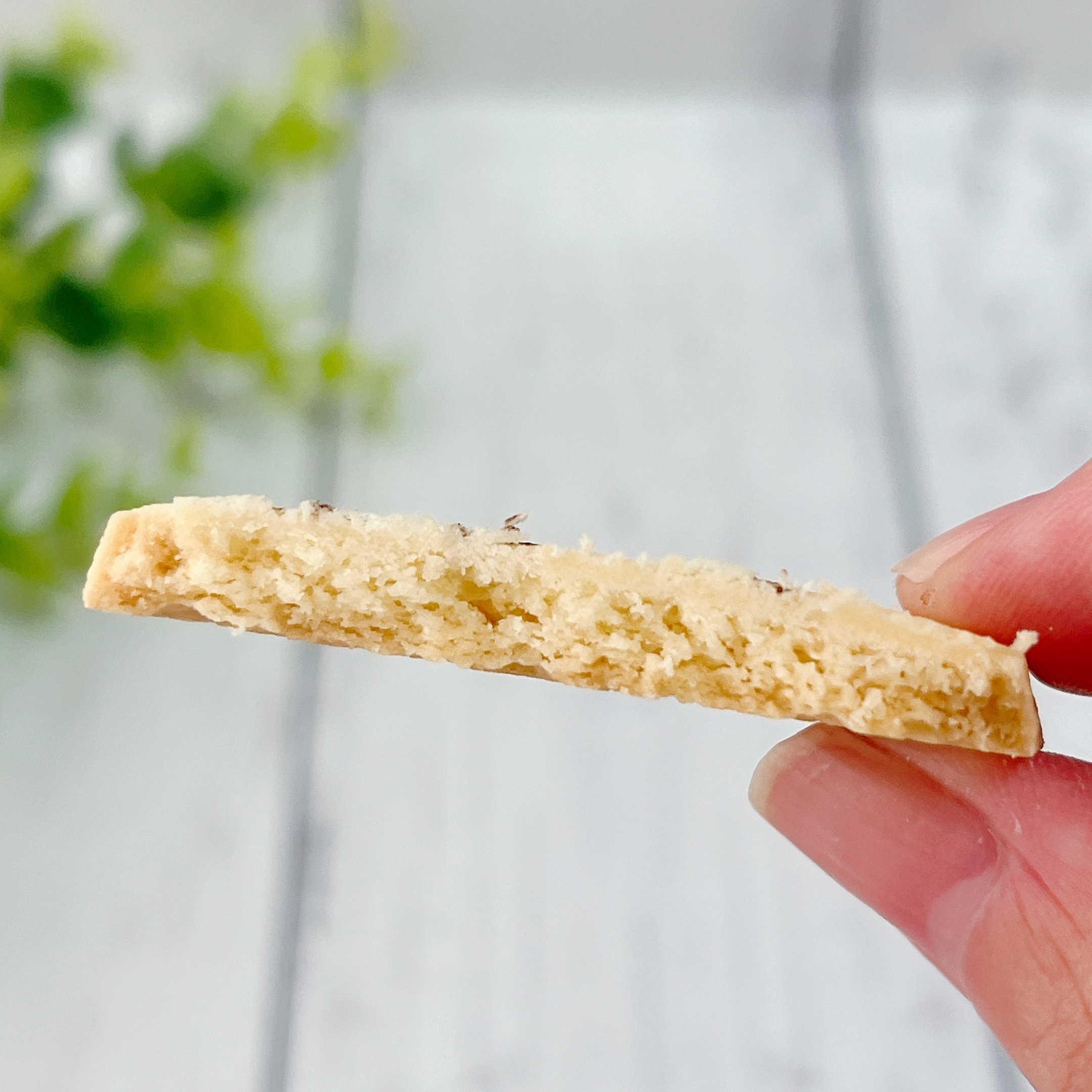 ディズニーランドで買った「クッキー」