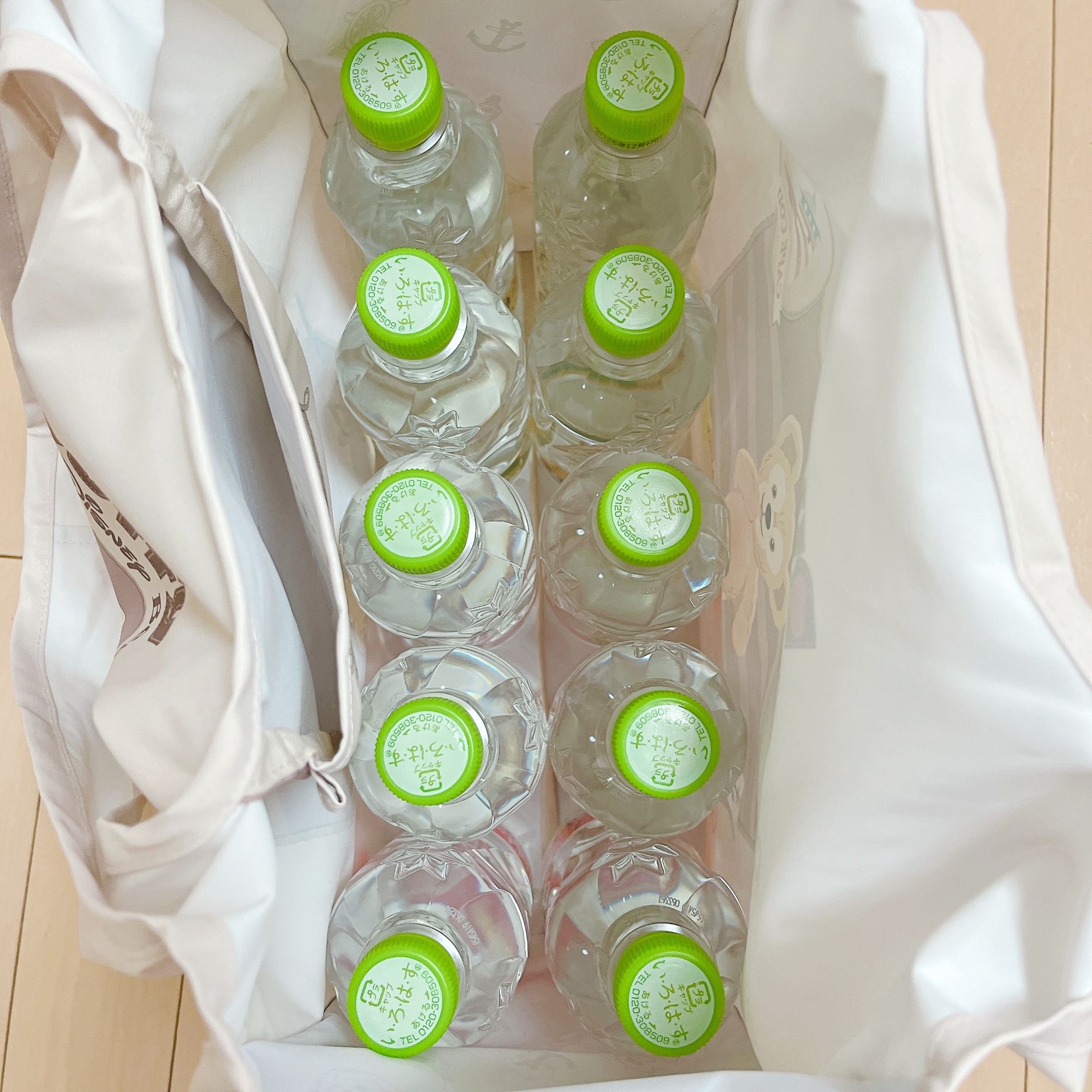 ディズニーシーで買った「ショッピングバッグ」