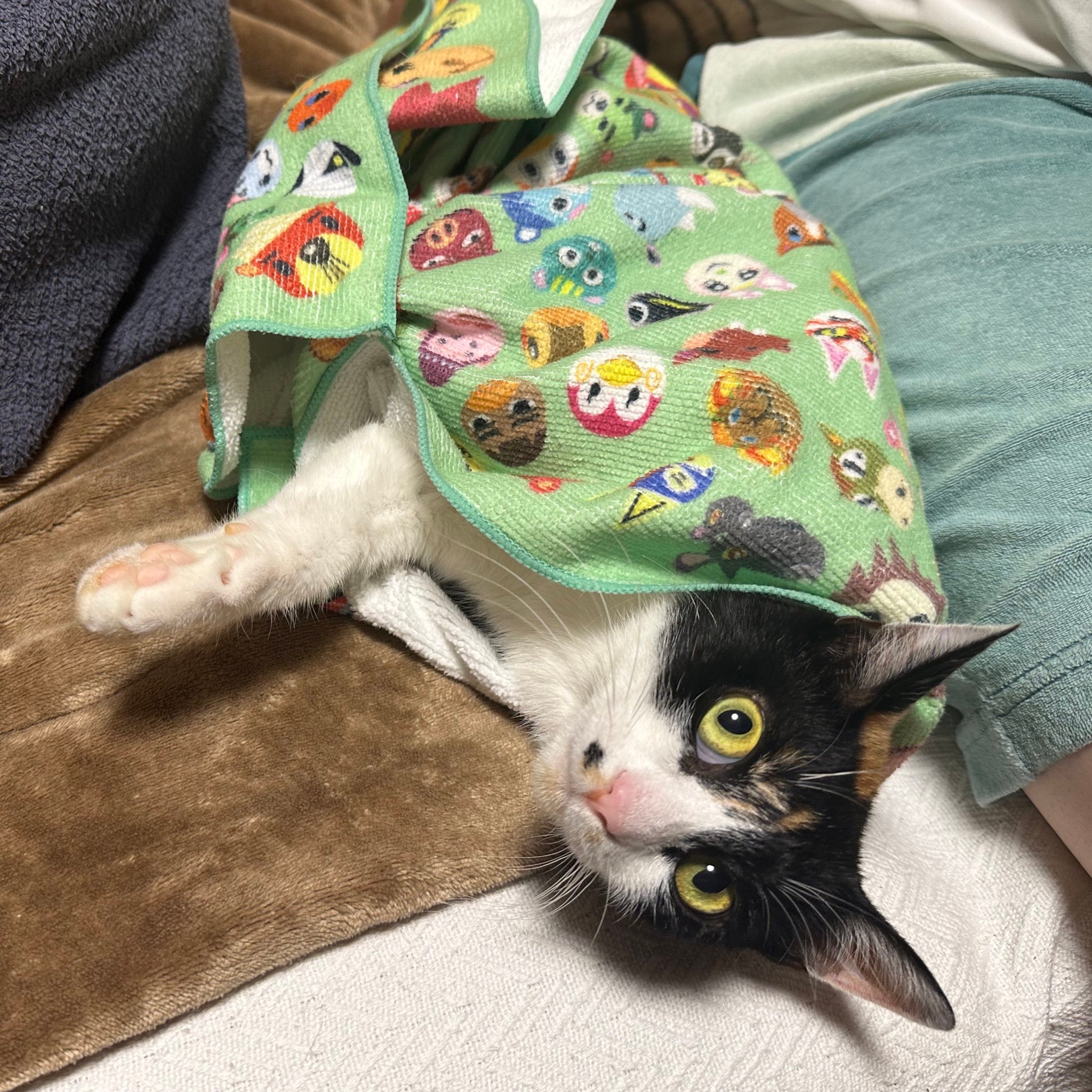猫がキャラクター柄のタオルに包まれて、くつろいでいる様子。