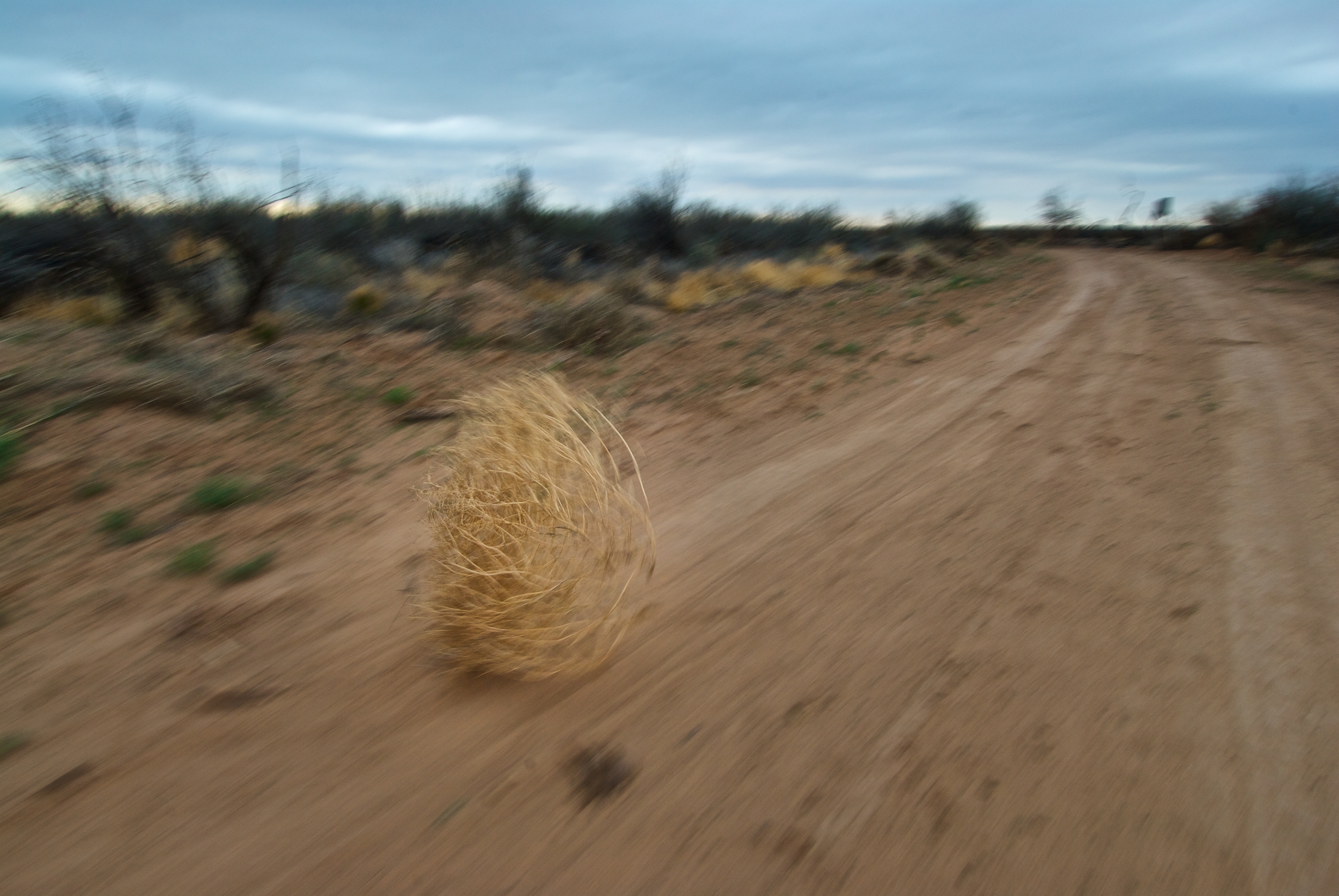 A tumbleweed rolls down a deserted dirt road in a barren landscape with sparse vegetation