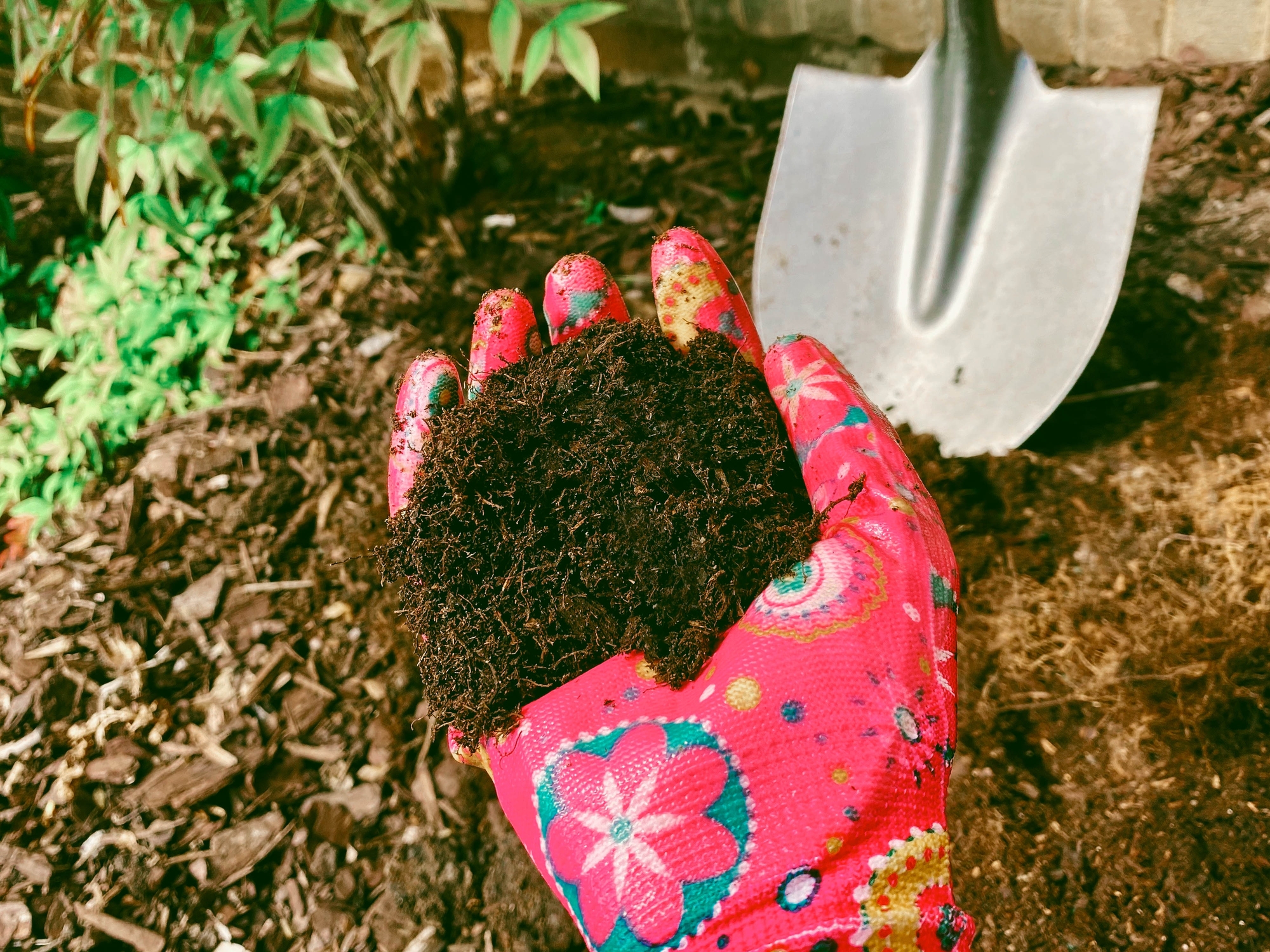 Hand in floral gloves holding soil, with a shovel in the background, suggesting gardening or planting activity