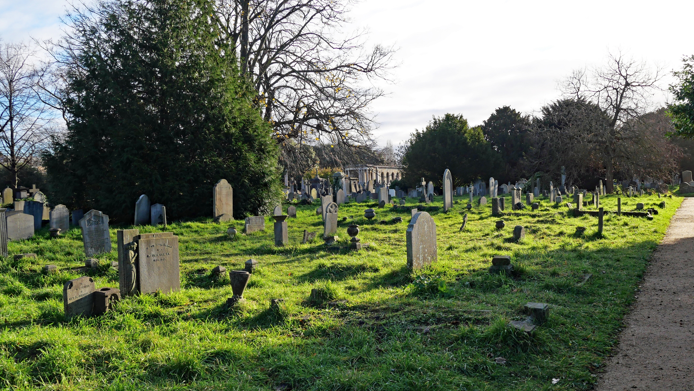 Grassy cemetery scene with numerous old headstones, scattered trees, and a dirt path on the right under a clear sky