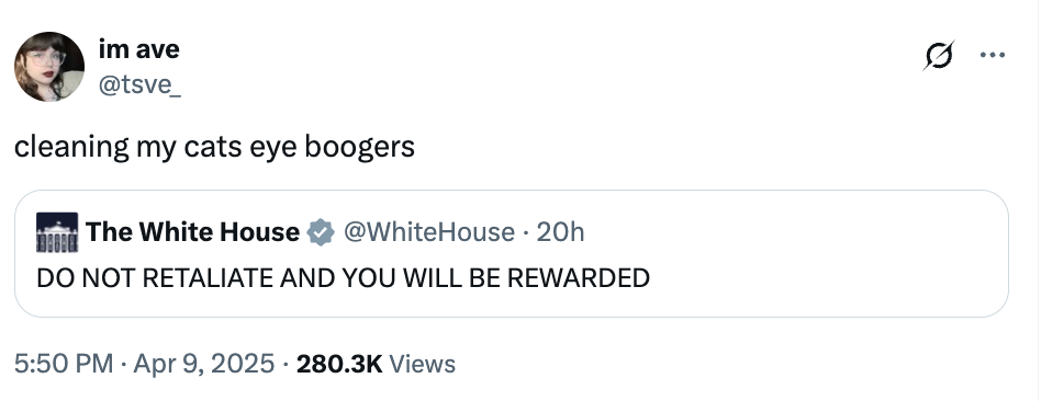 Tweet by user about cleaning cat's eye boogers; embedded White House tweet: "DO NOT RETALIATE AND YOU WILL BE REWARDED."