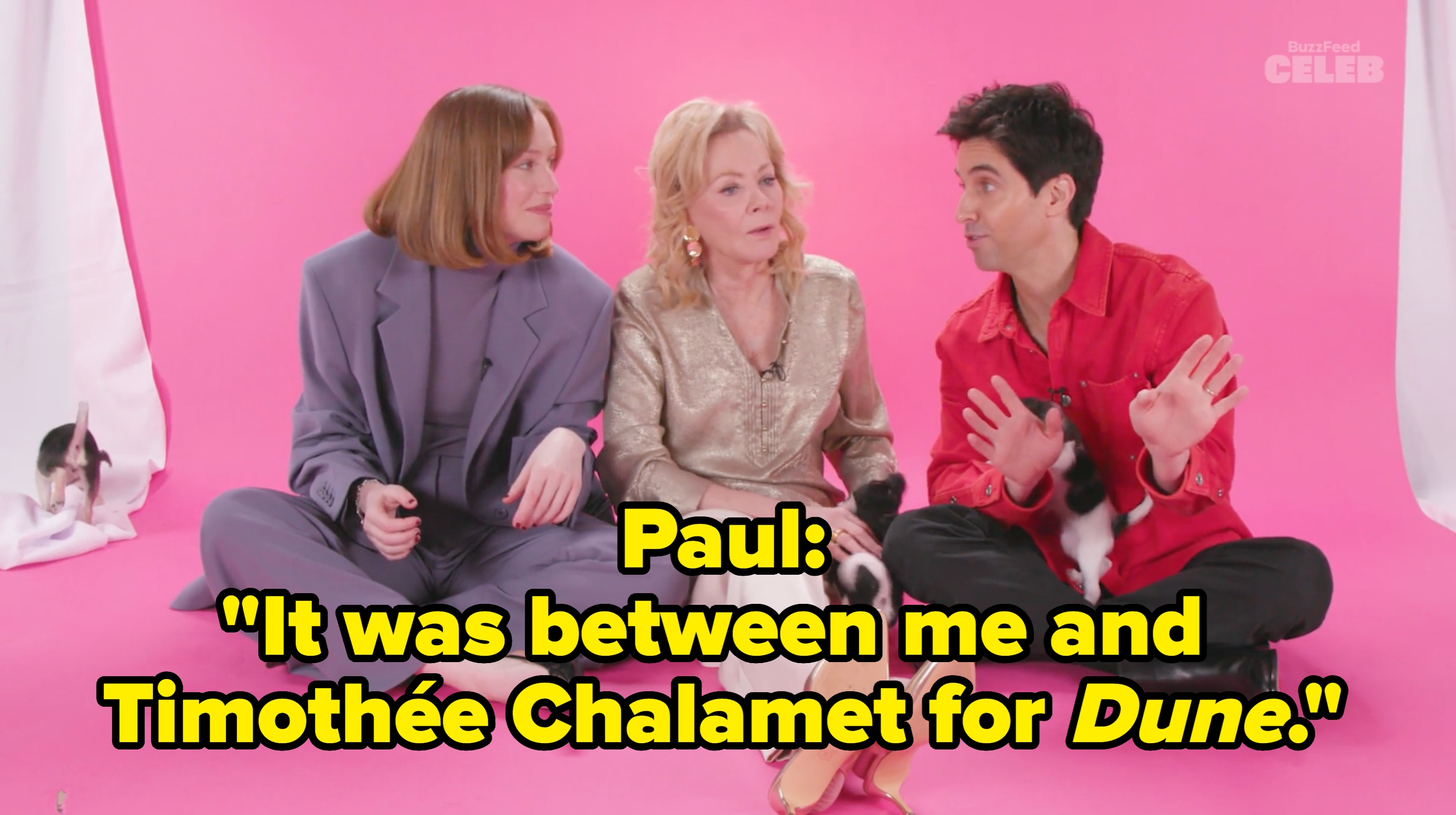 Three people sit on a studio floor with kittens, engaged in conversation. One person is in a suit, another in a shiny blouse, and the third in a casual shirt